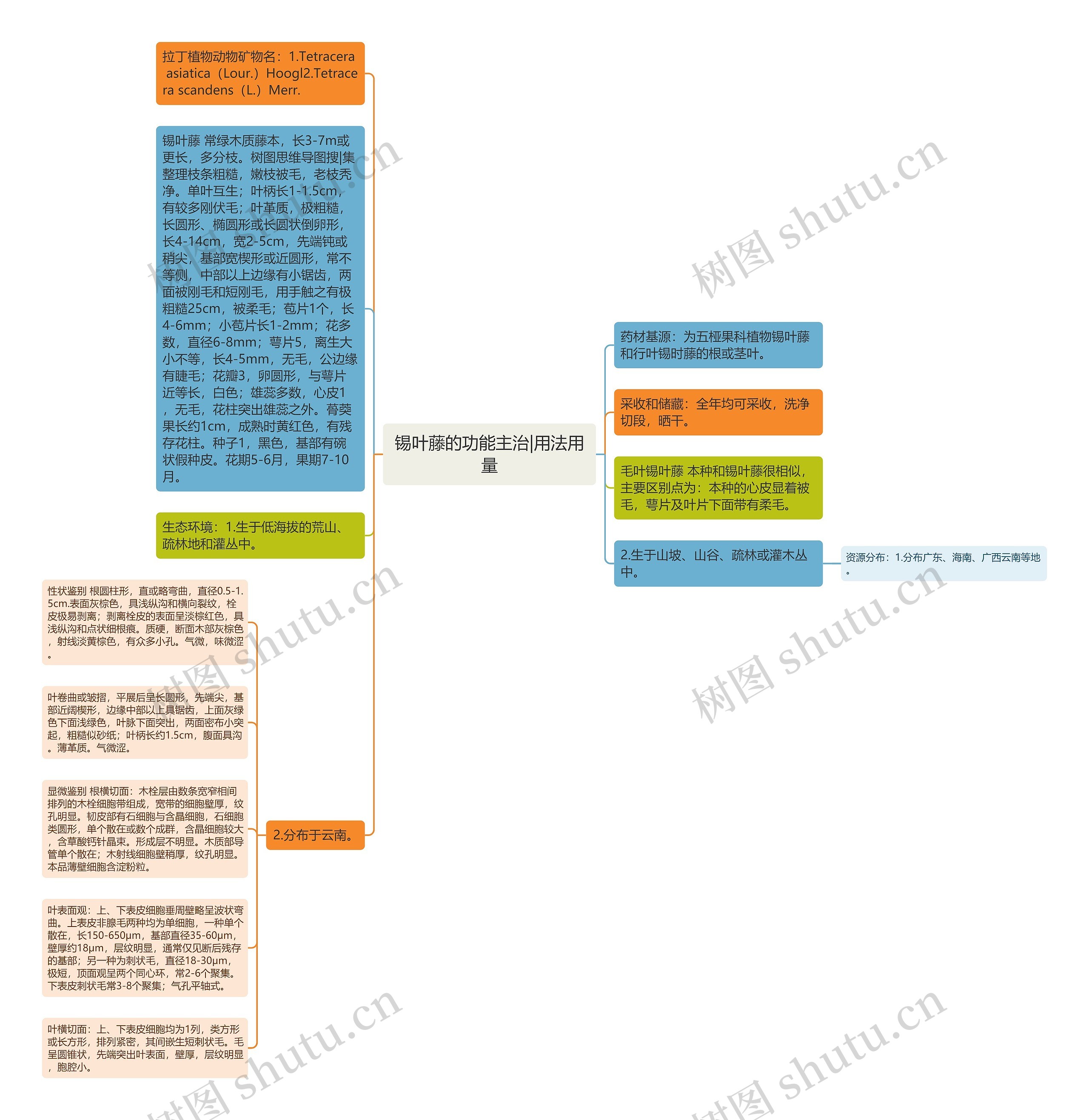 锡叶藤的功能主治|用法用量思维导图