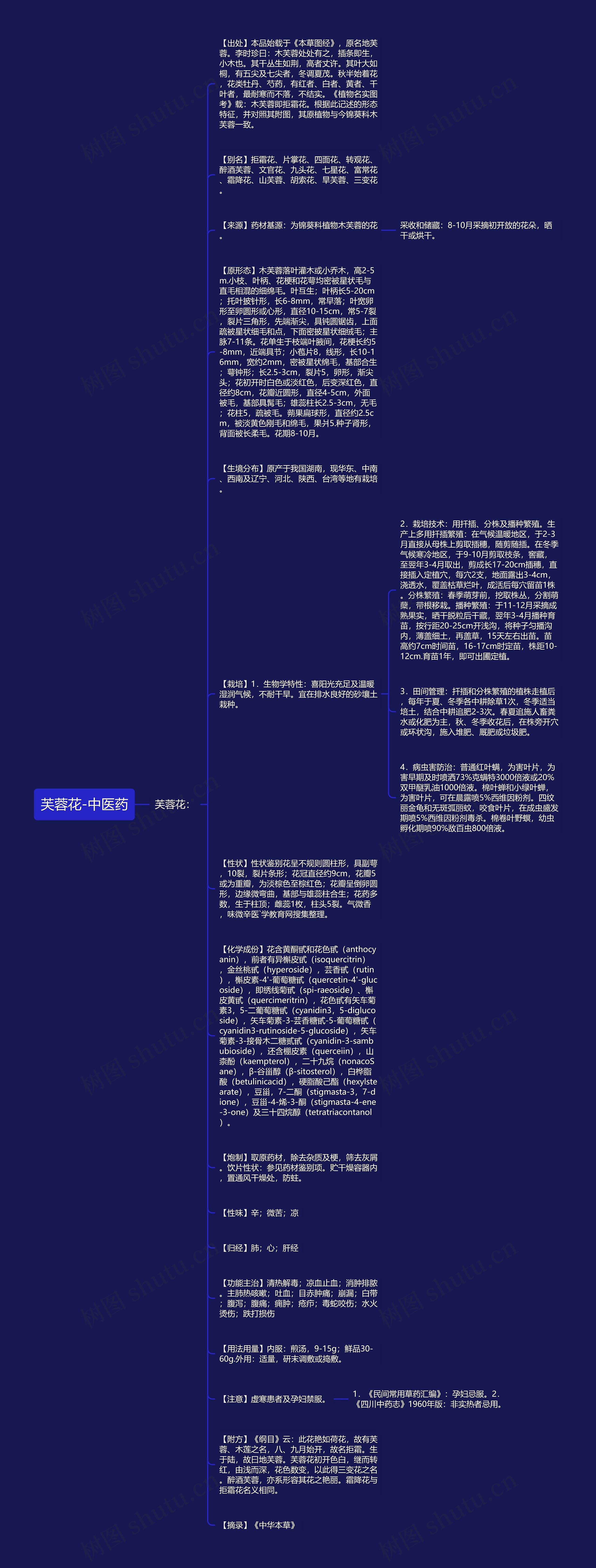 芙蓉花-中医药思维导图
