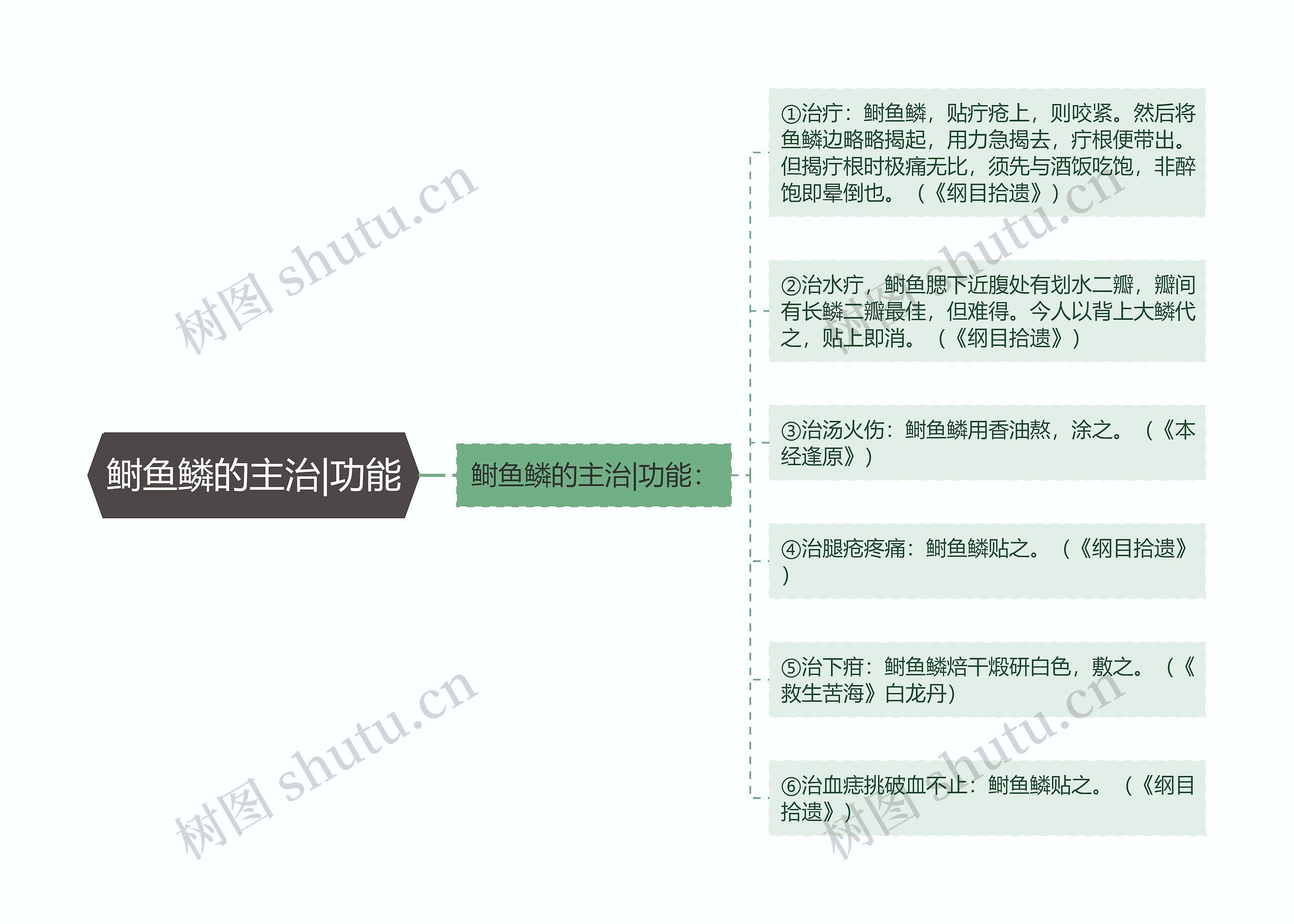 鲥鱼鳞的主治|功能思维导图