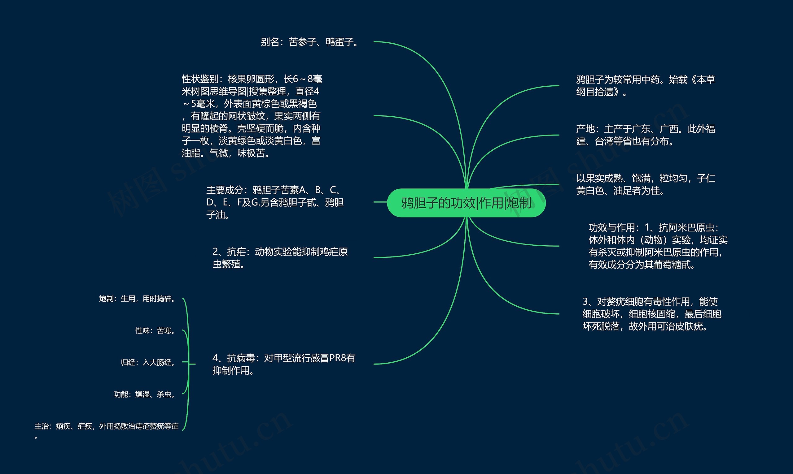 鸦胆子的功效|作用|炮制