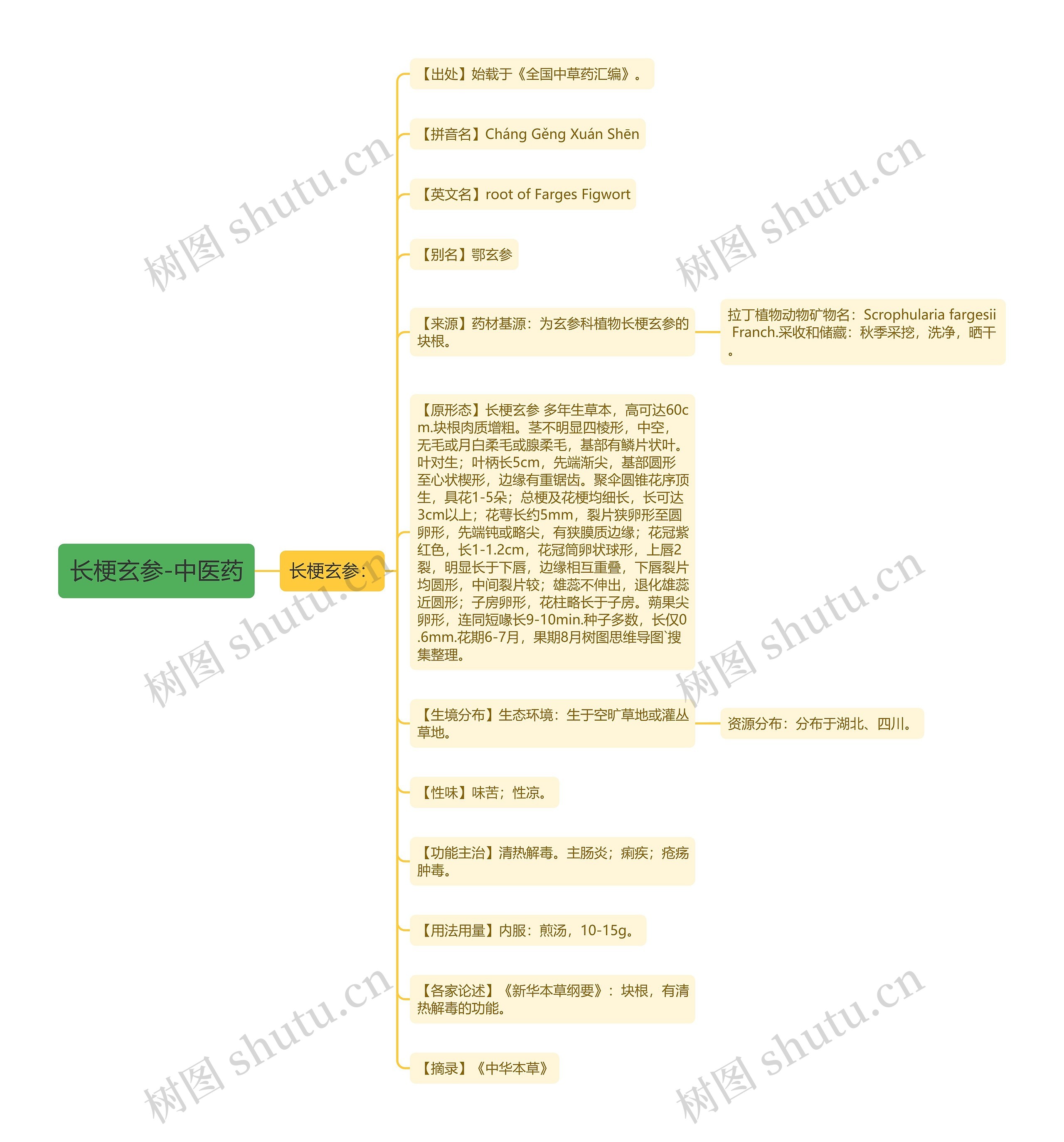 长梗玄参-中医药思维导图