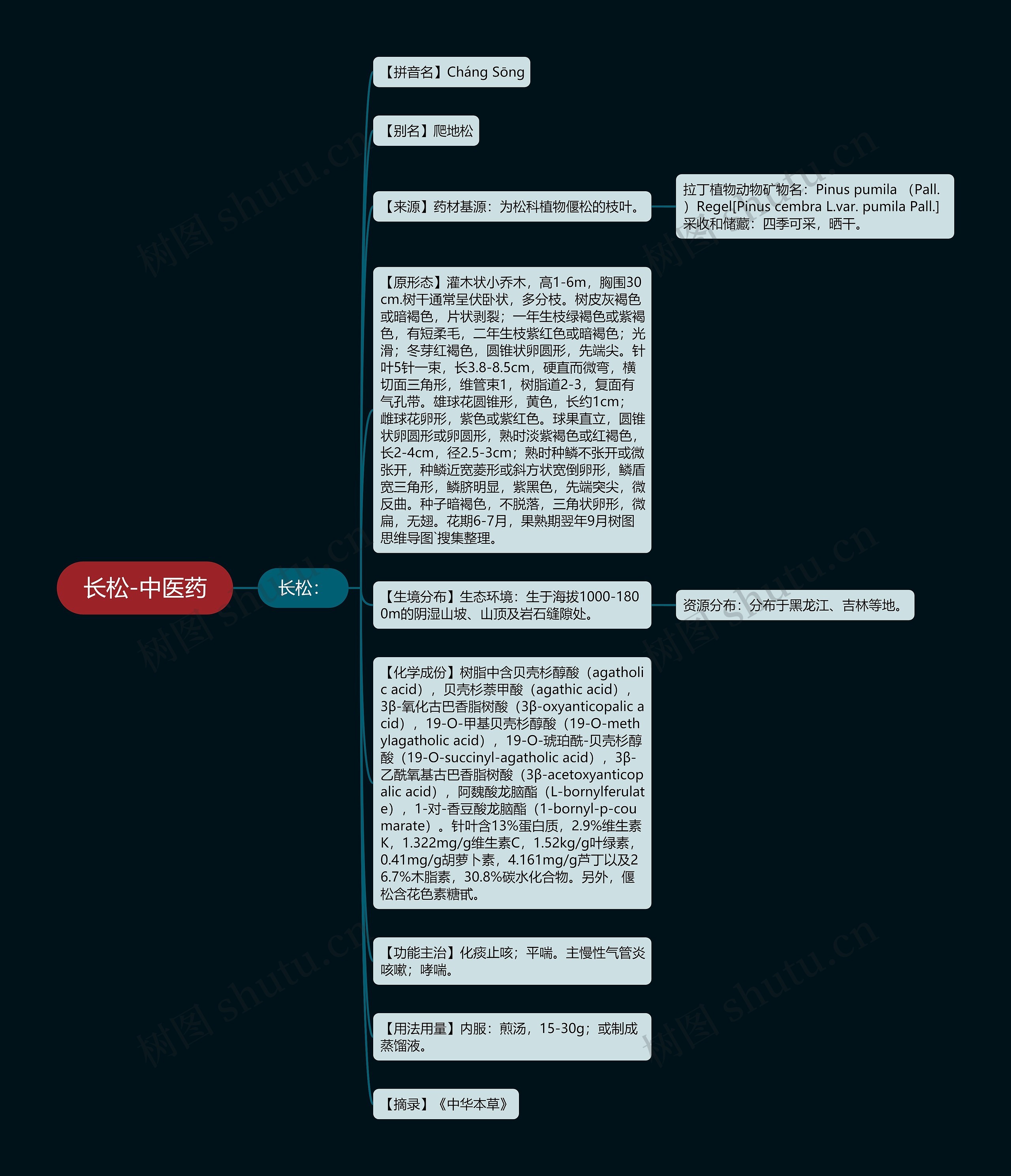 长松-中医药思维导图