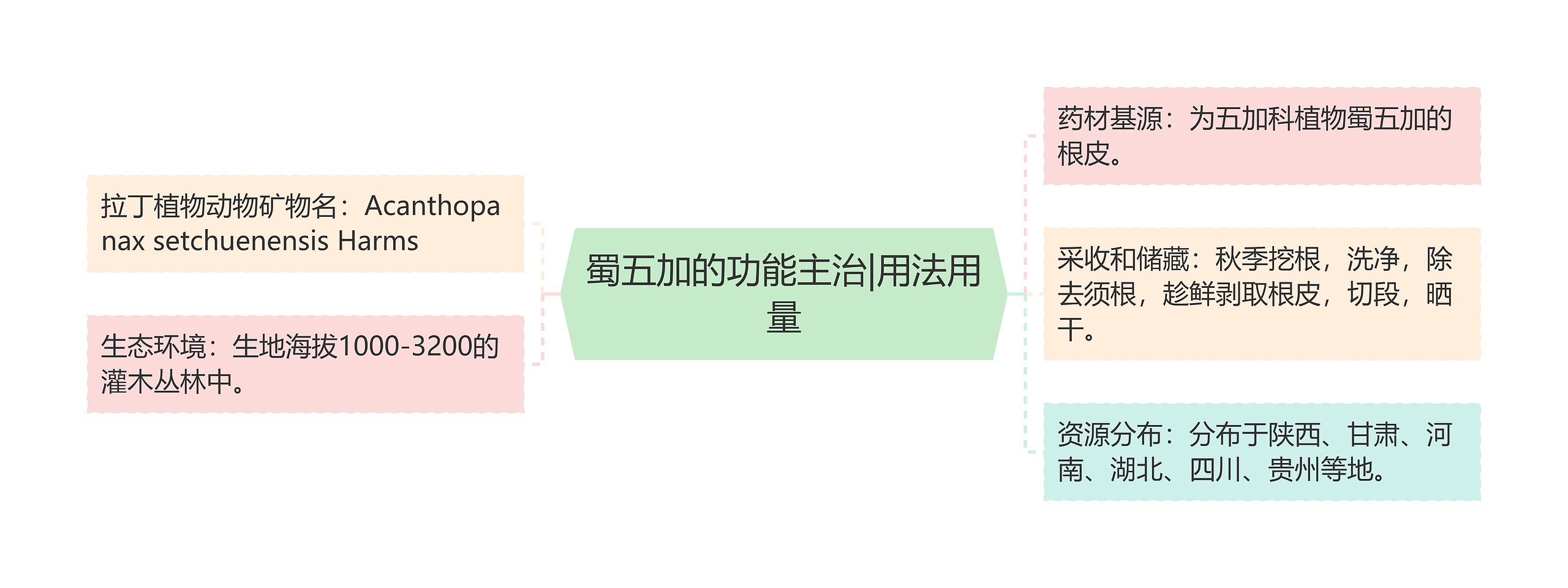 蜀五加的功能主治|用法用量