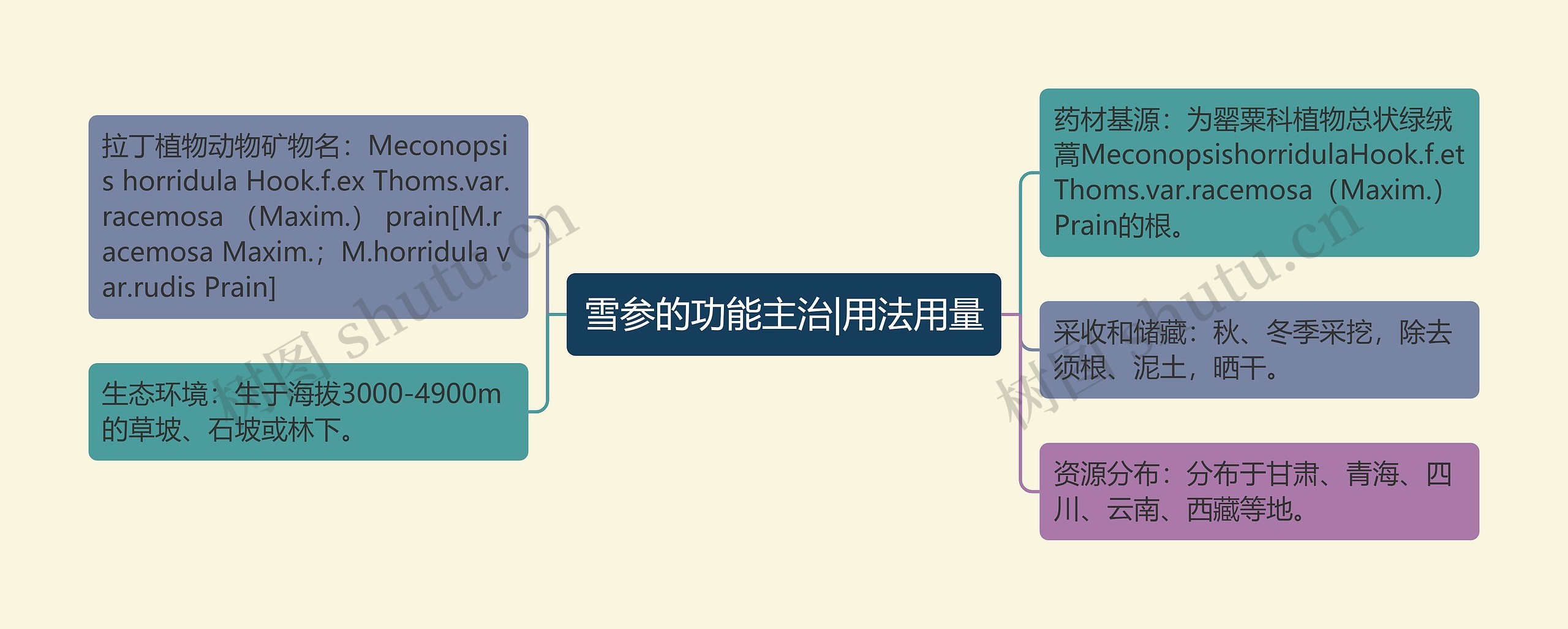 雪参的功能主治|用法用量思维导图