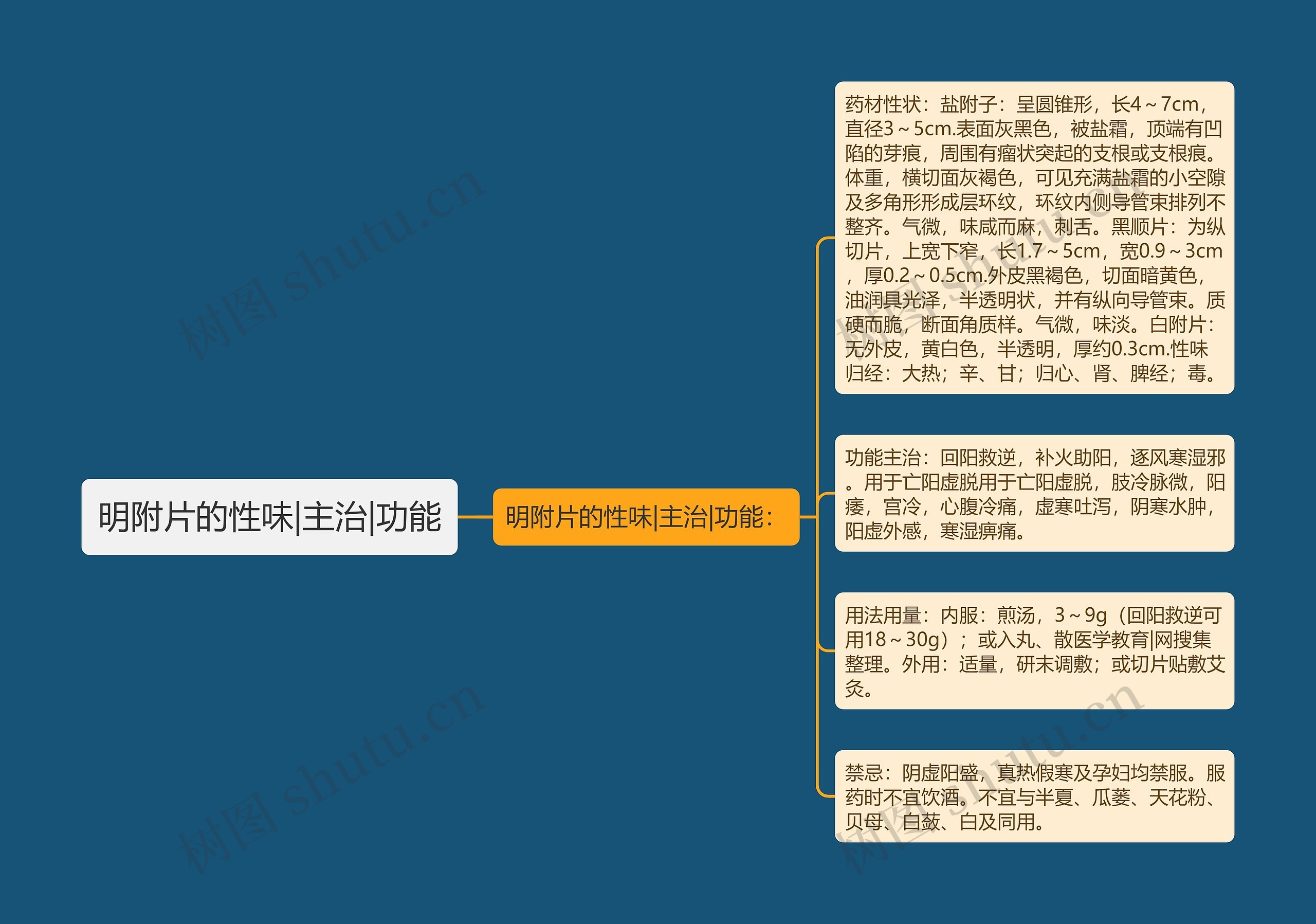 明附片的性味|主治|功能思维导图