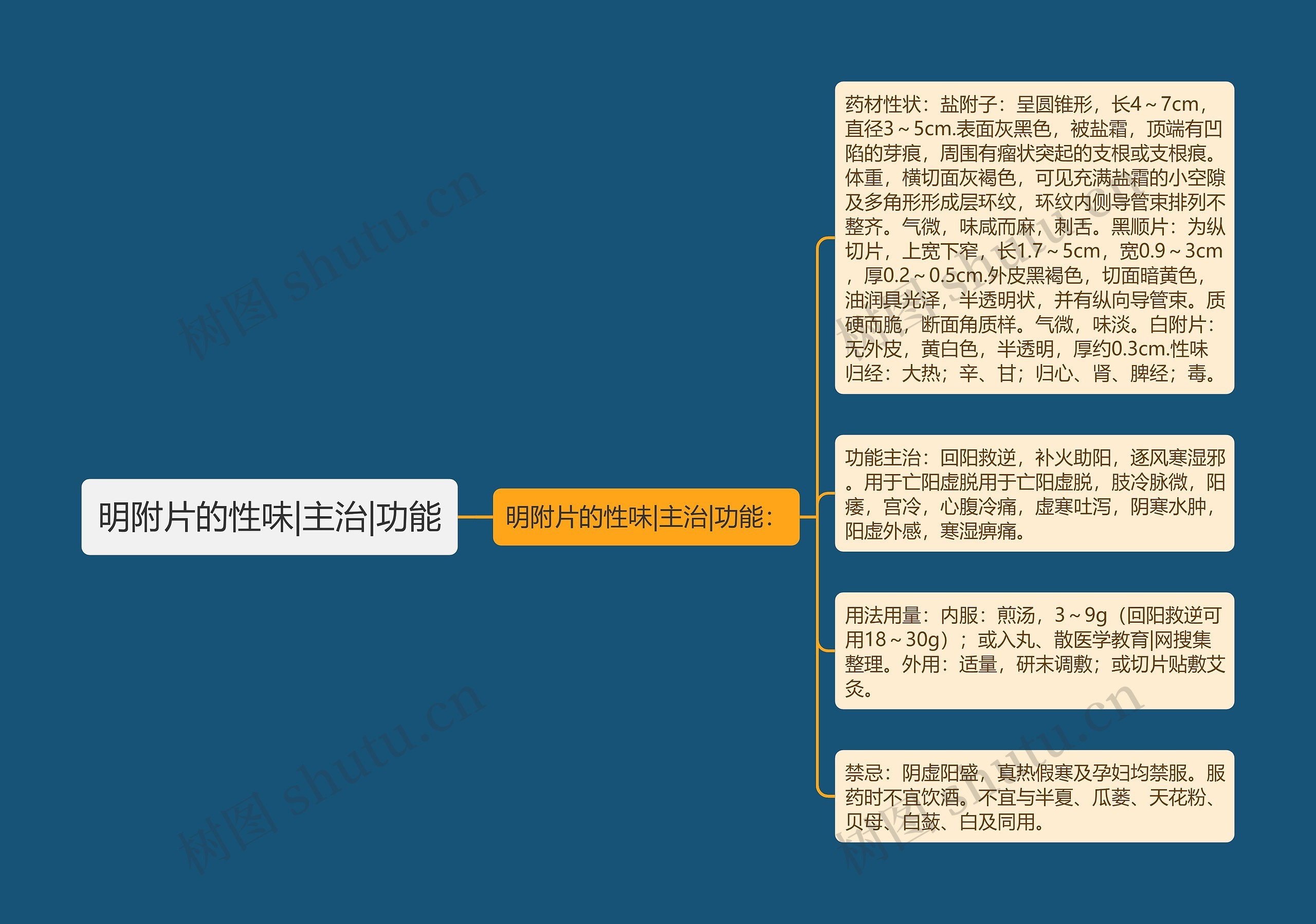 明附片的性味|主治|功能 明附片的性味|主治|功能