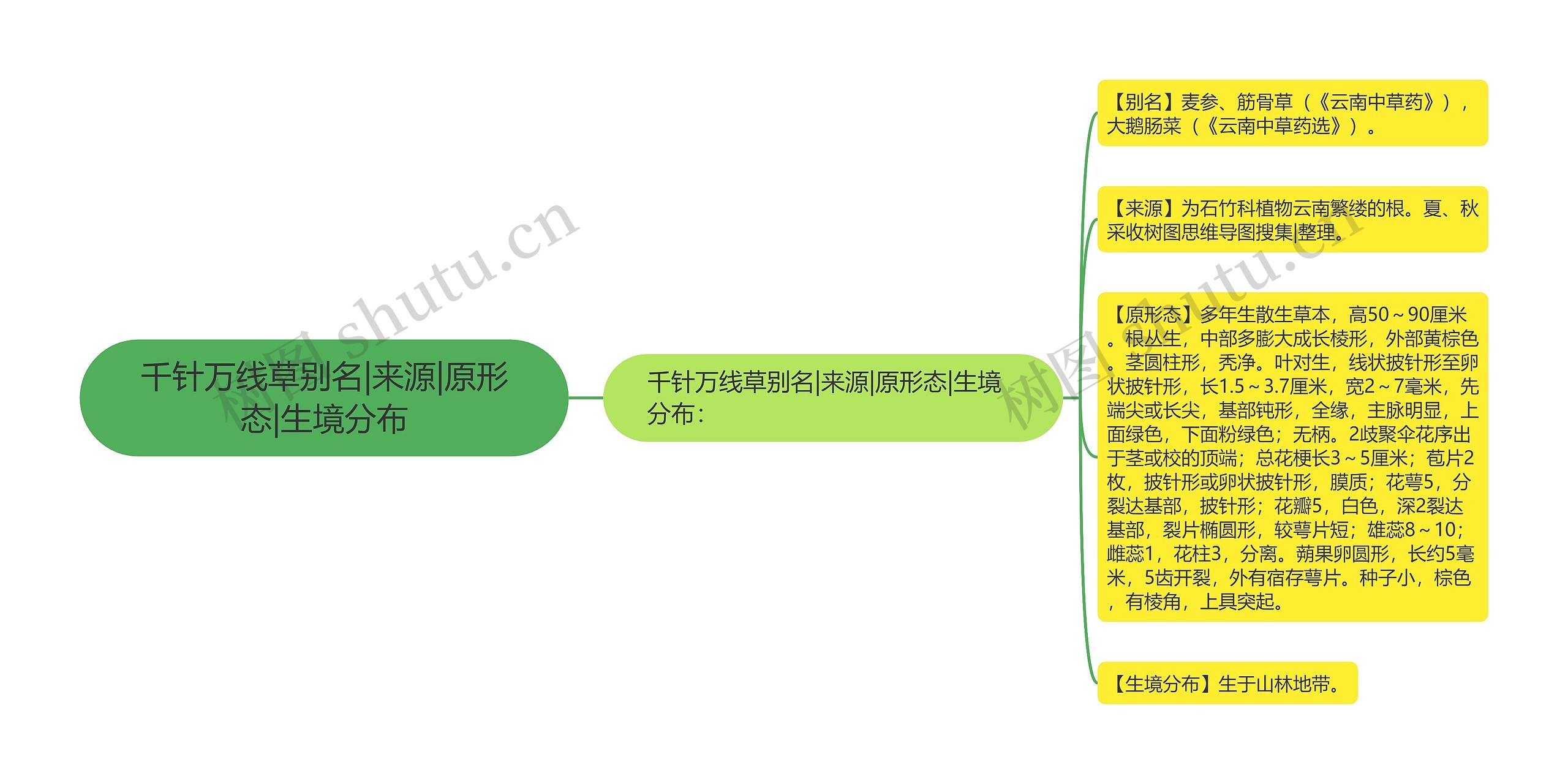 千针万线草别名|来源|原形态|生境分布