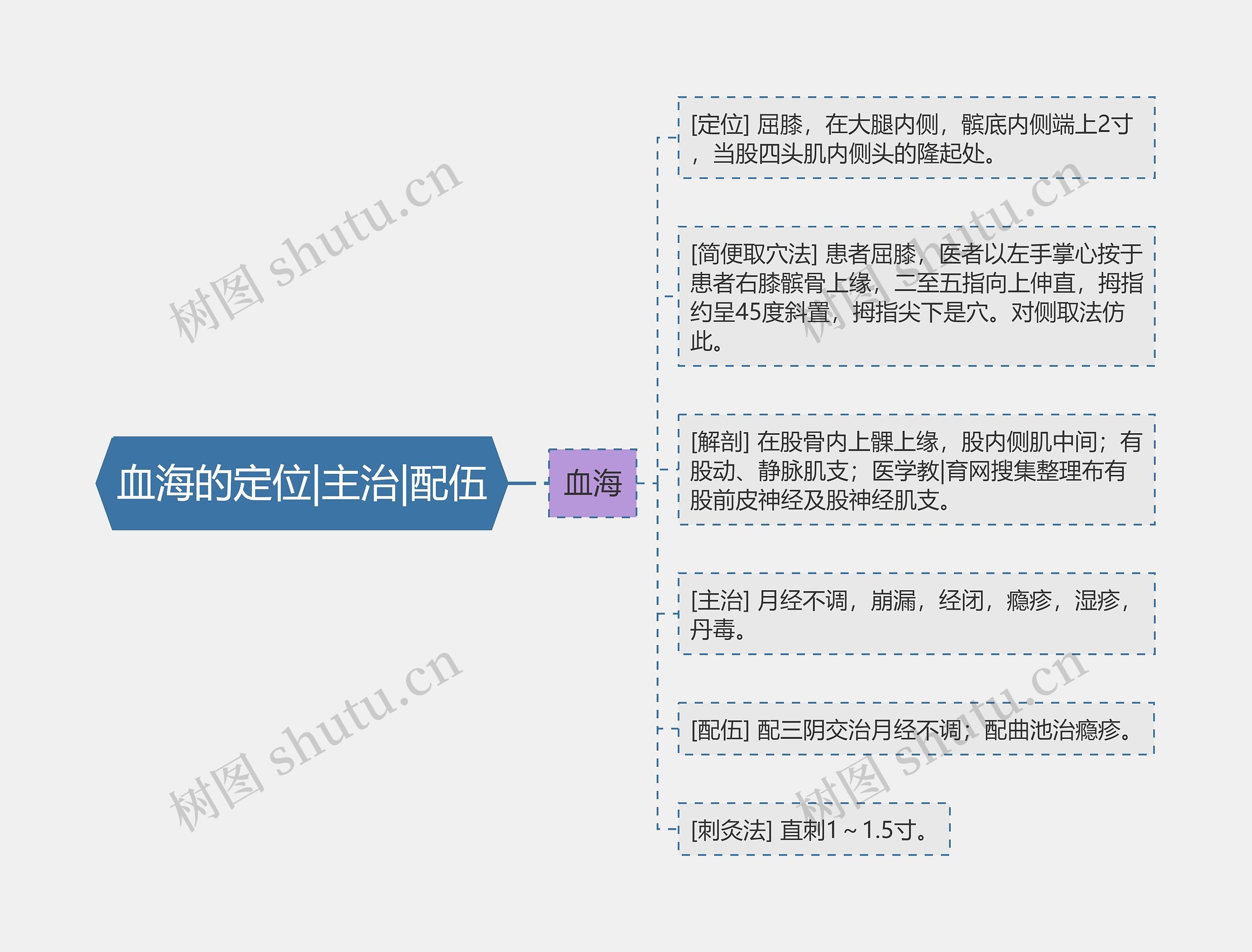 血海的定位|主治|配伍思维导图