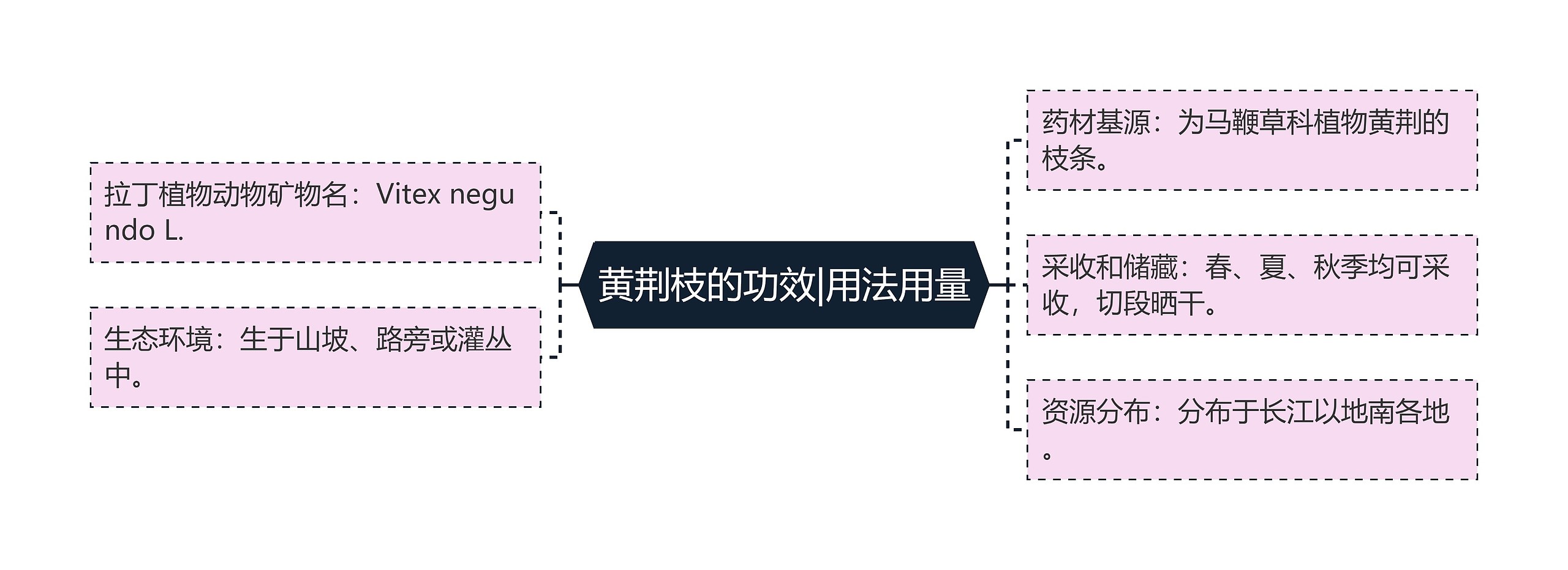 黄荆枝的功效|用法用量思维导图