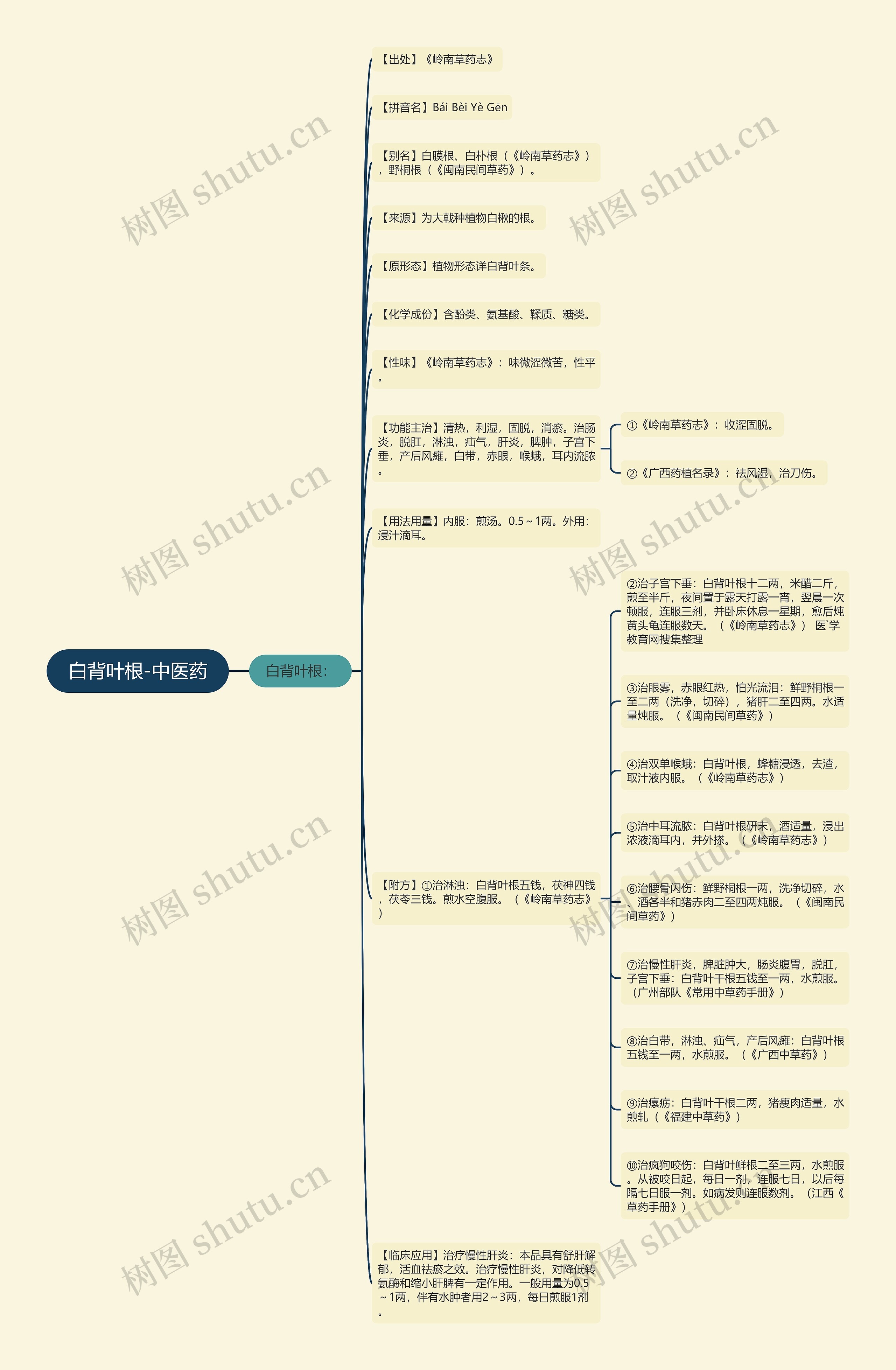 白背叶根-中医药 白背叶根-中医药