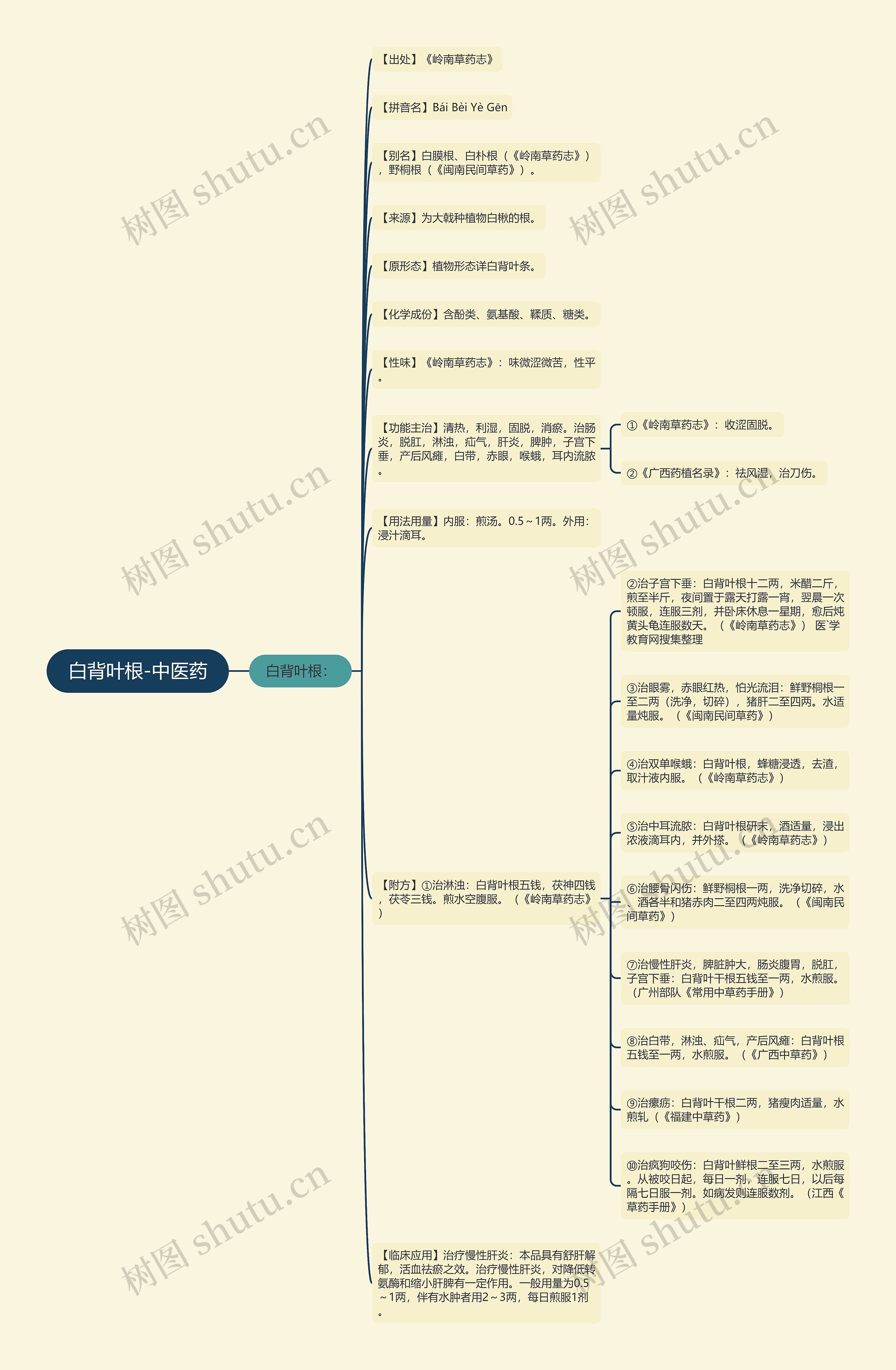白背叶根-中医药思维导图