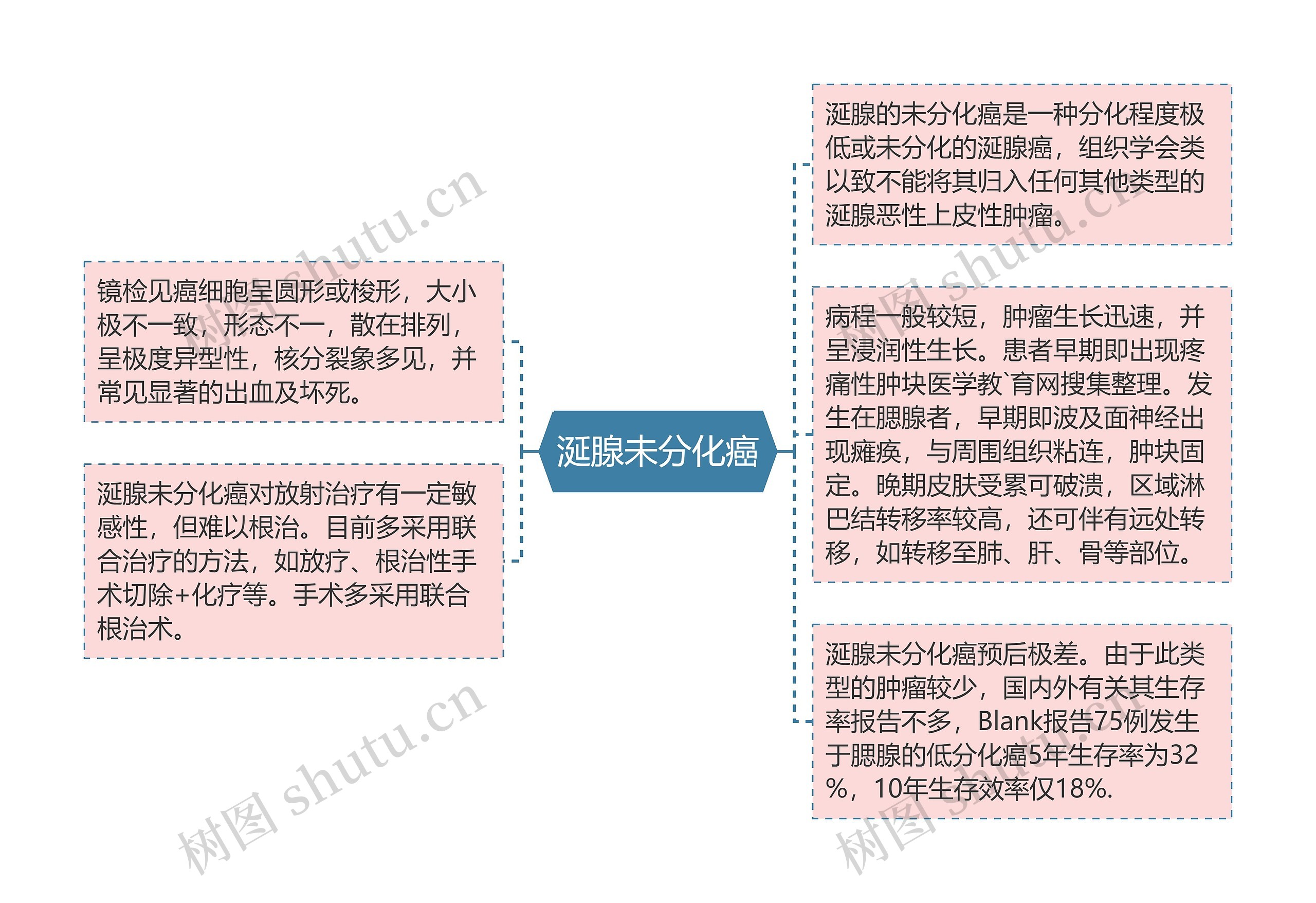 涎腺未分化癌思维导图