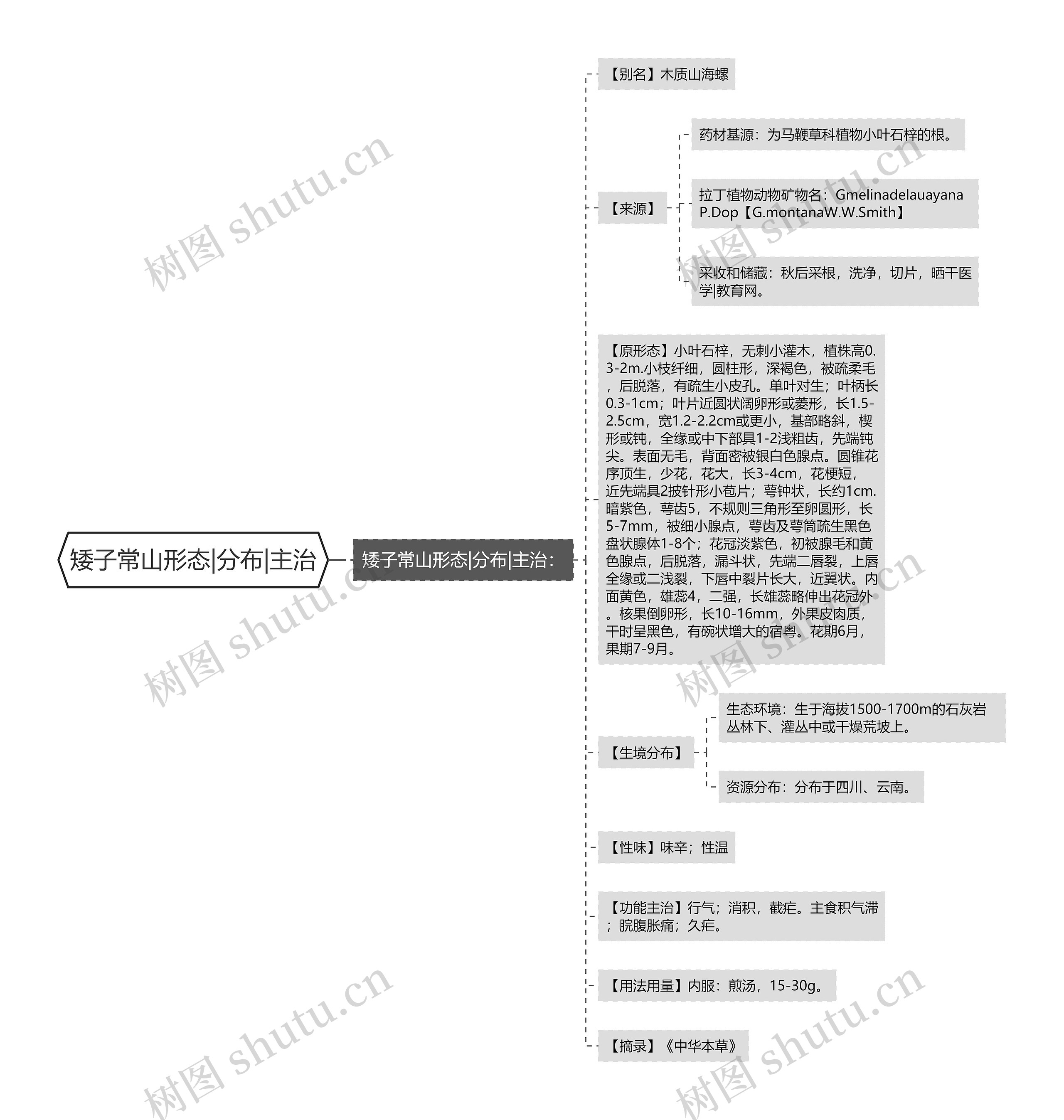 矮子常山形态|分布|主治