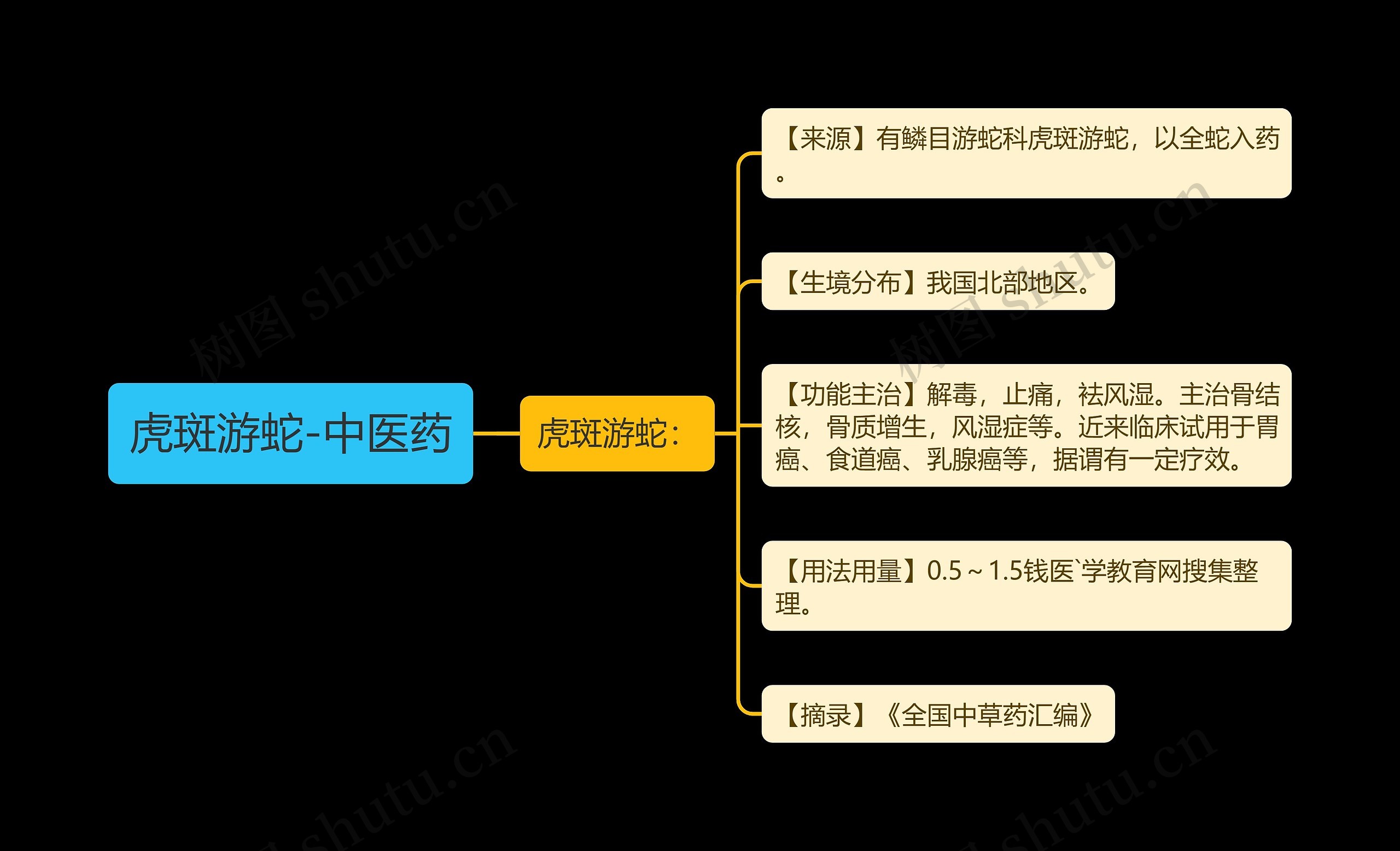 虎斑游蛇-中医药思维导图