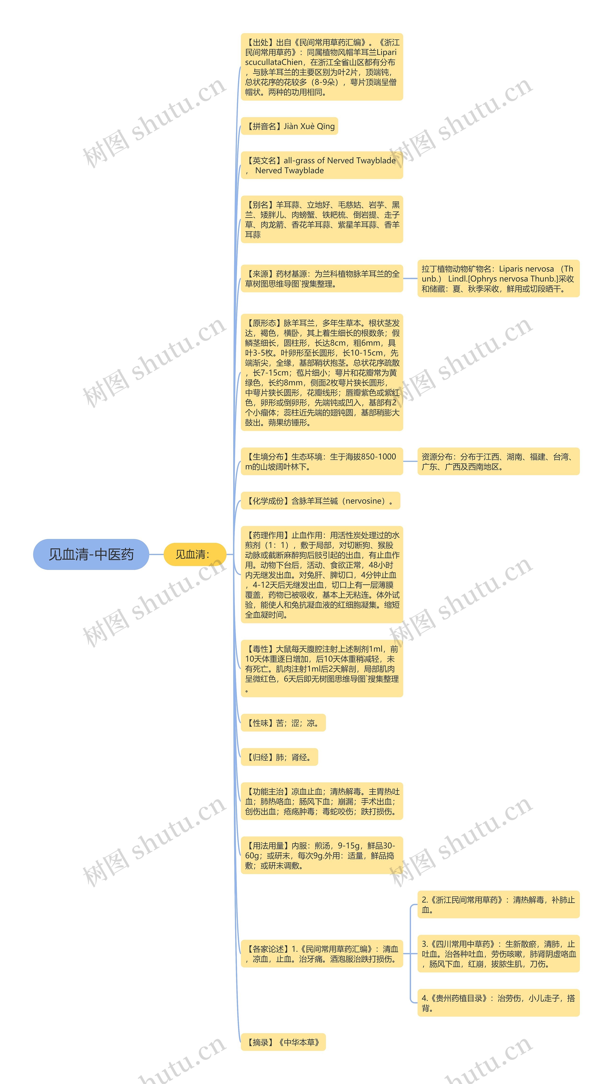 见血清-中医药思维导图