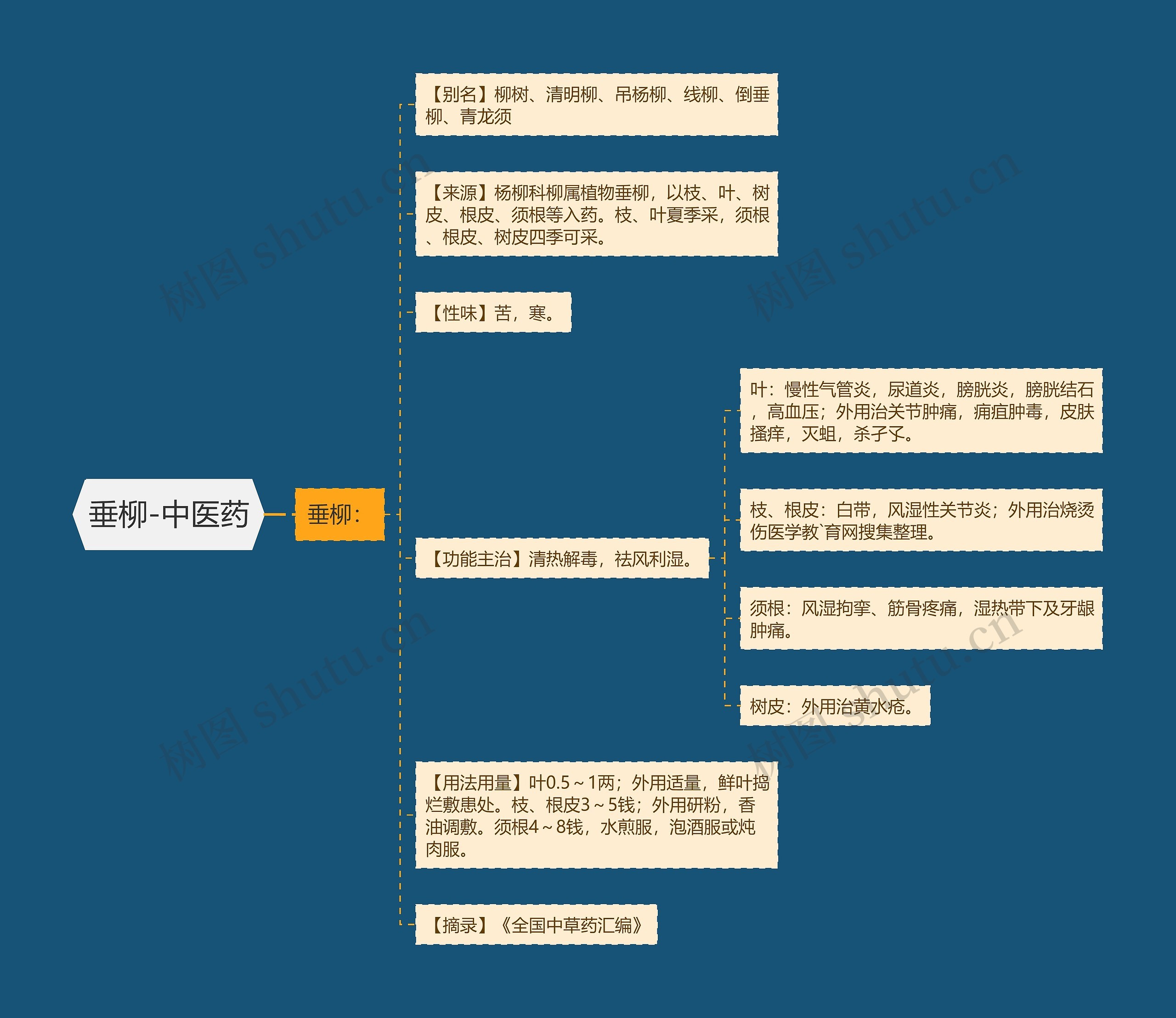 垂柳-中医药思维导图