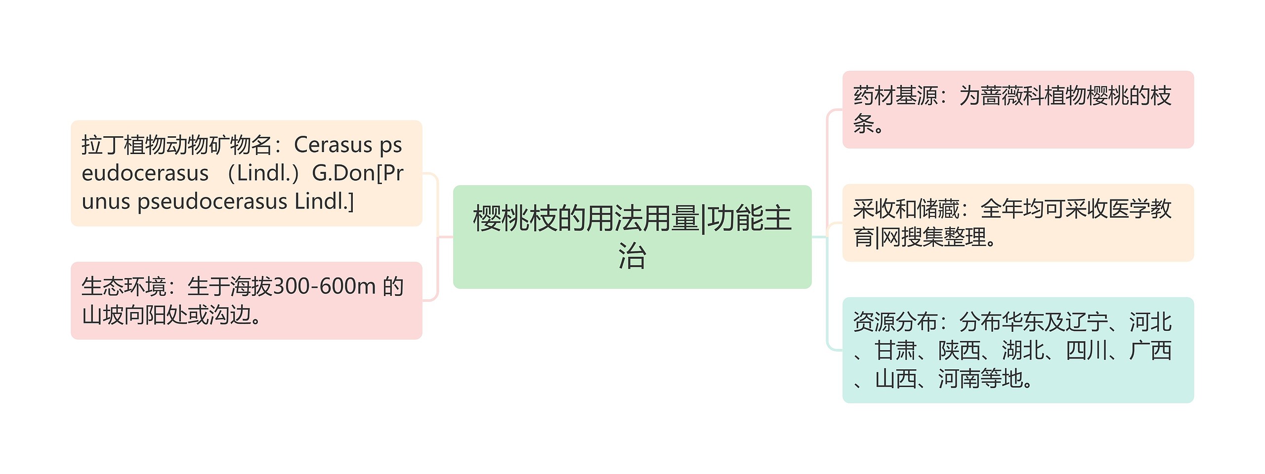 樱桃枝的用法用量|功能主治思维导图