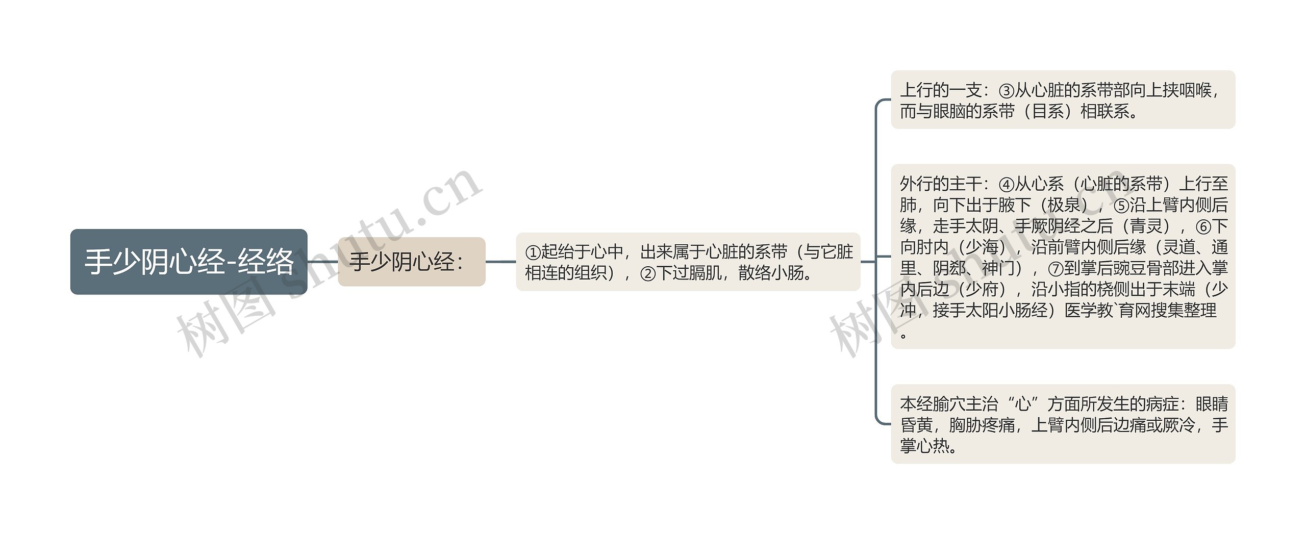 手少阴心经-经络思维导图