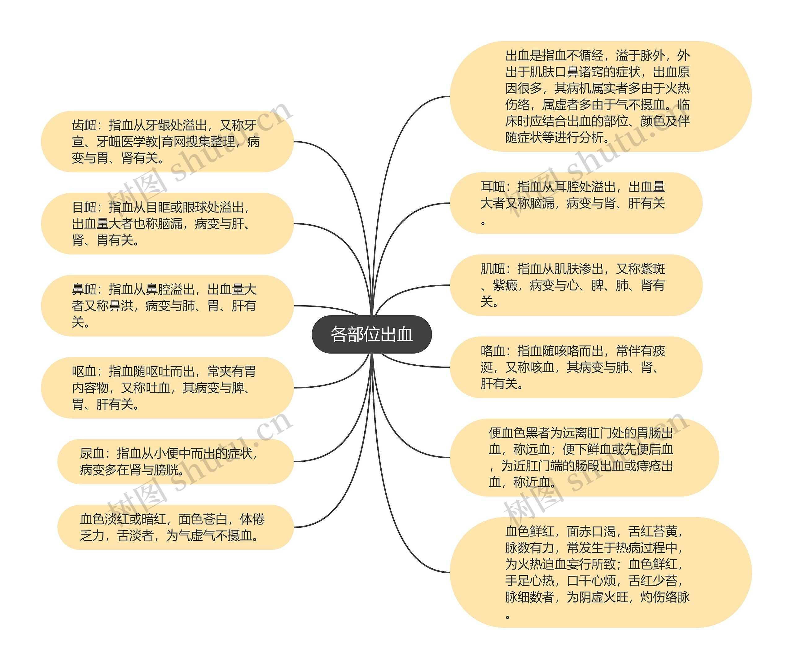 各部位出血思维导图