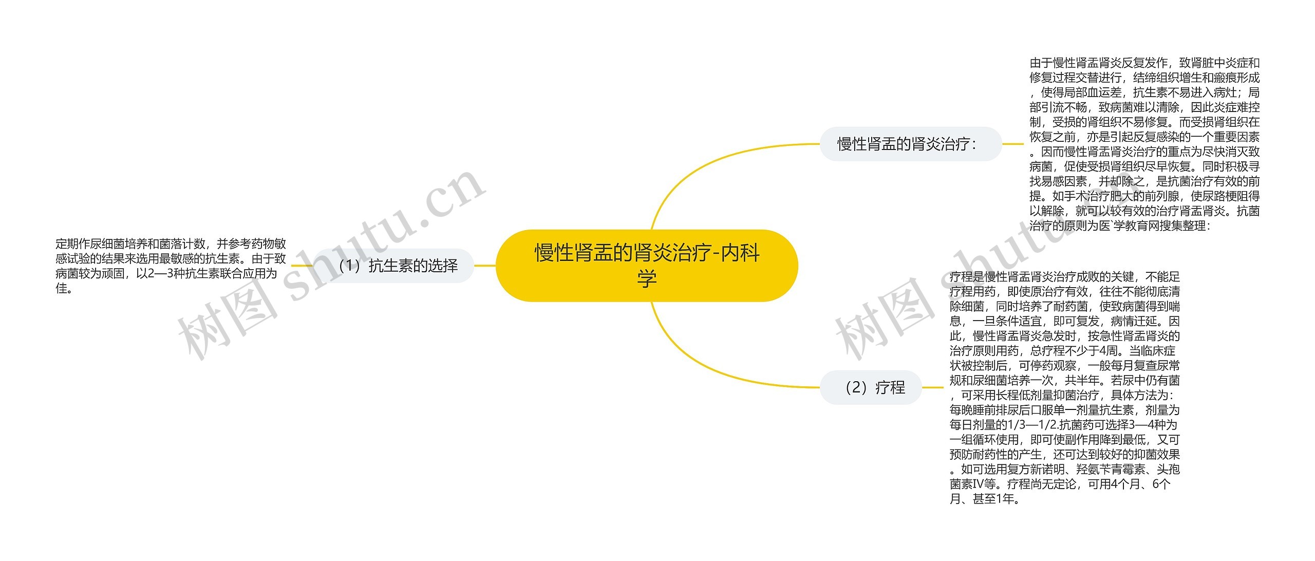 慢性肾盂的肾炎治疗-内科学思维导图