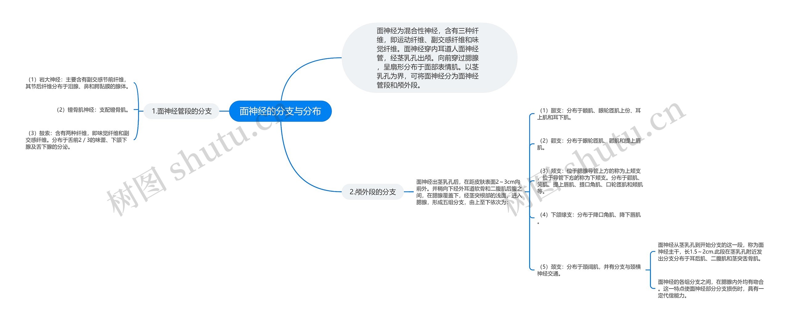 面神经的分支与分布思维导图