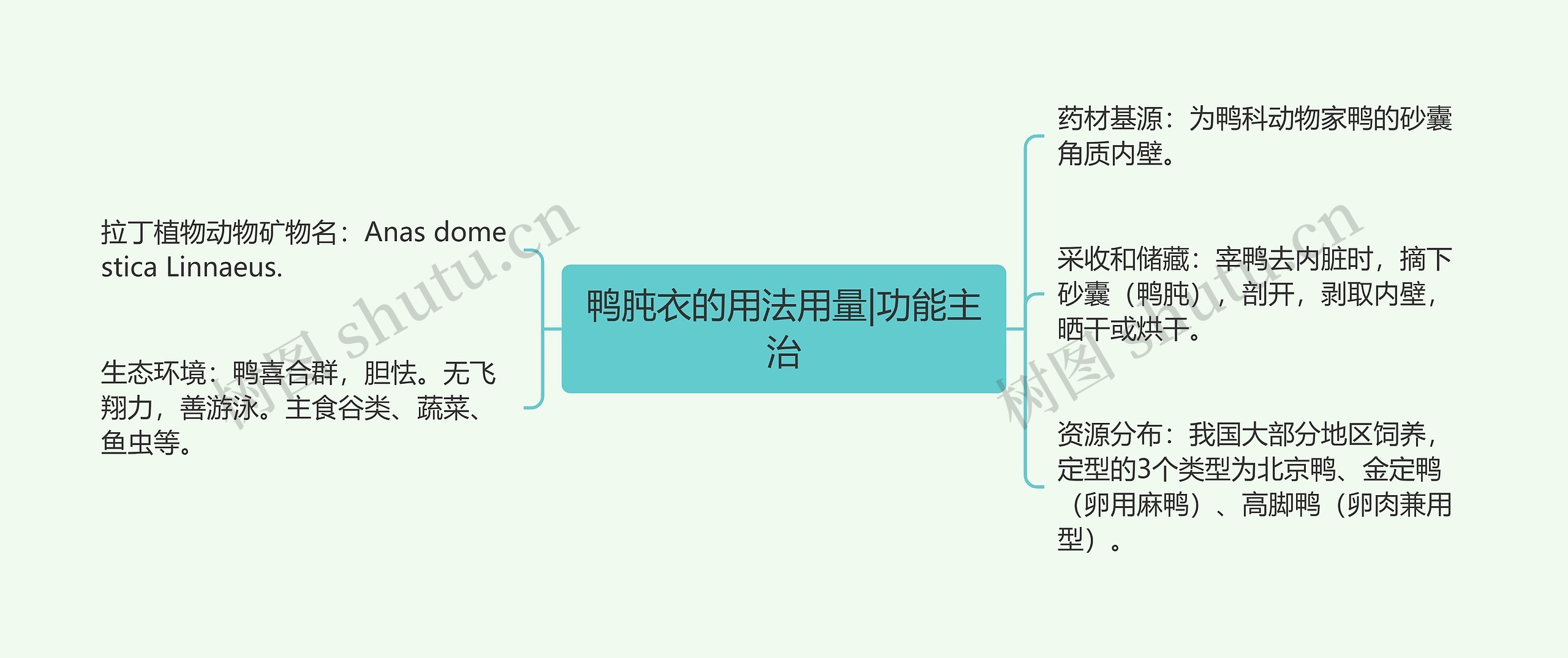 鸭肫衣的用法用量|功能主治