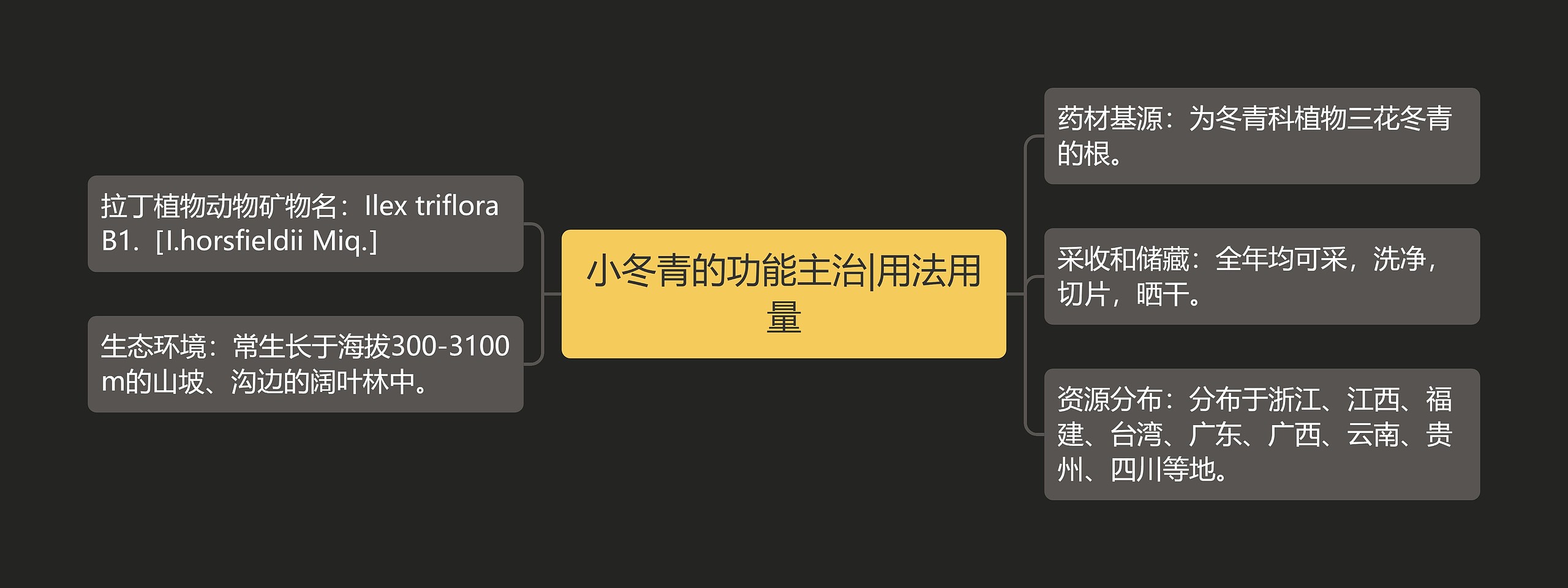 小冬青的功能主治|用法用量