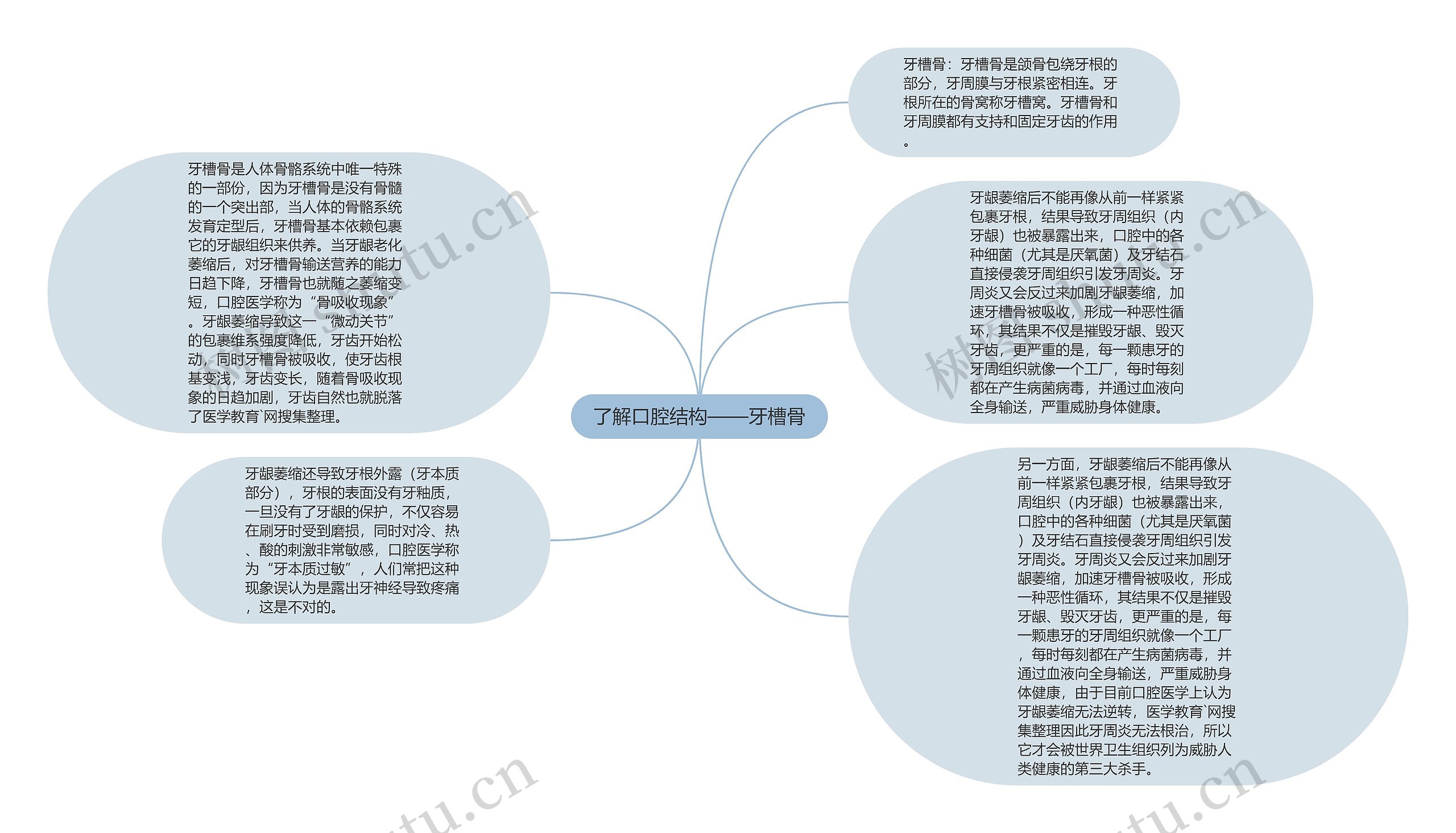 了解口腔结构——牙槽骨