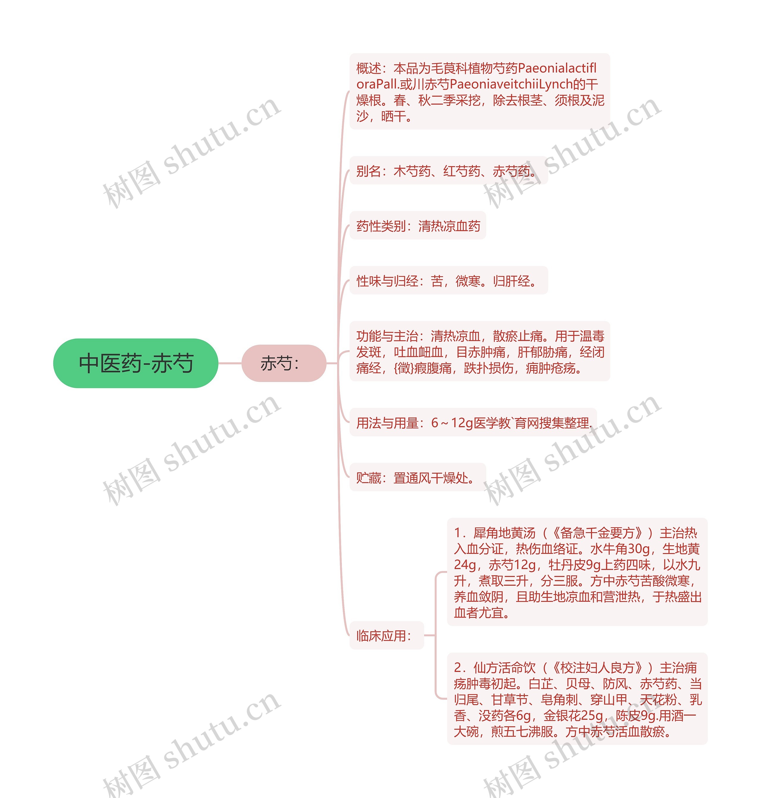 中医药-赤芍思维导图