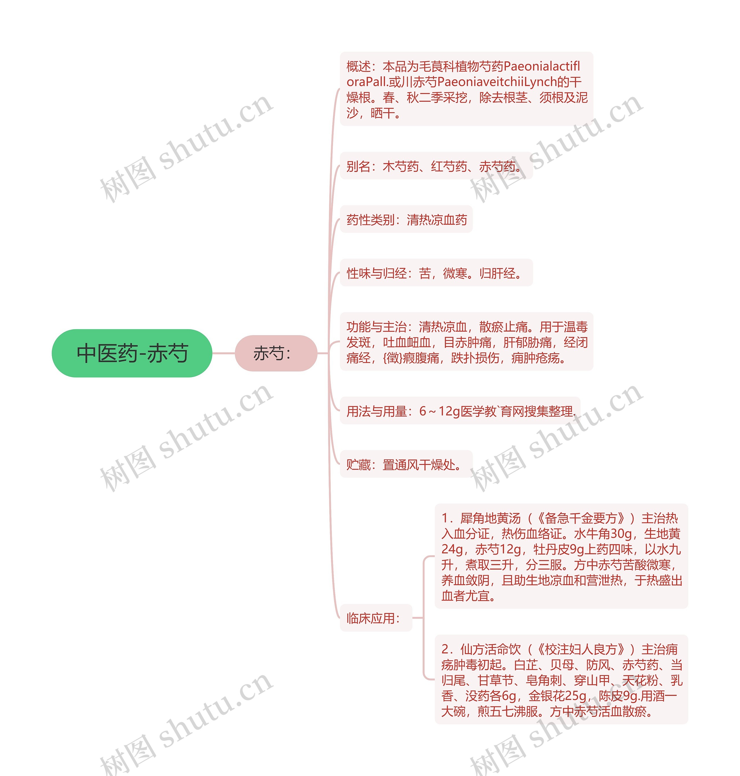 中医药-赤芍 中医药-赤芍