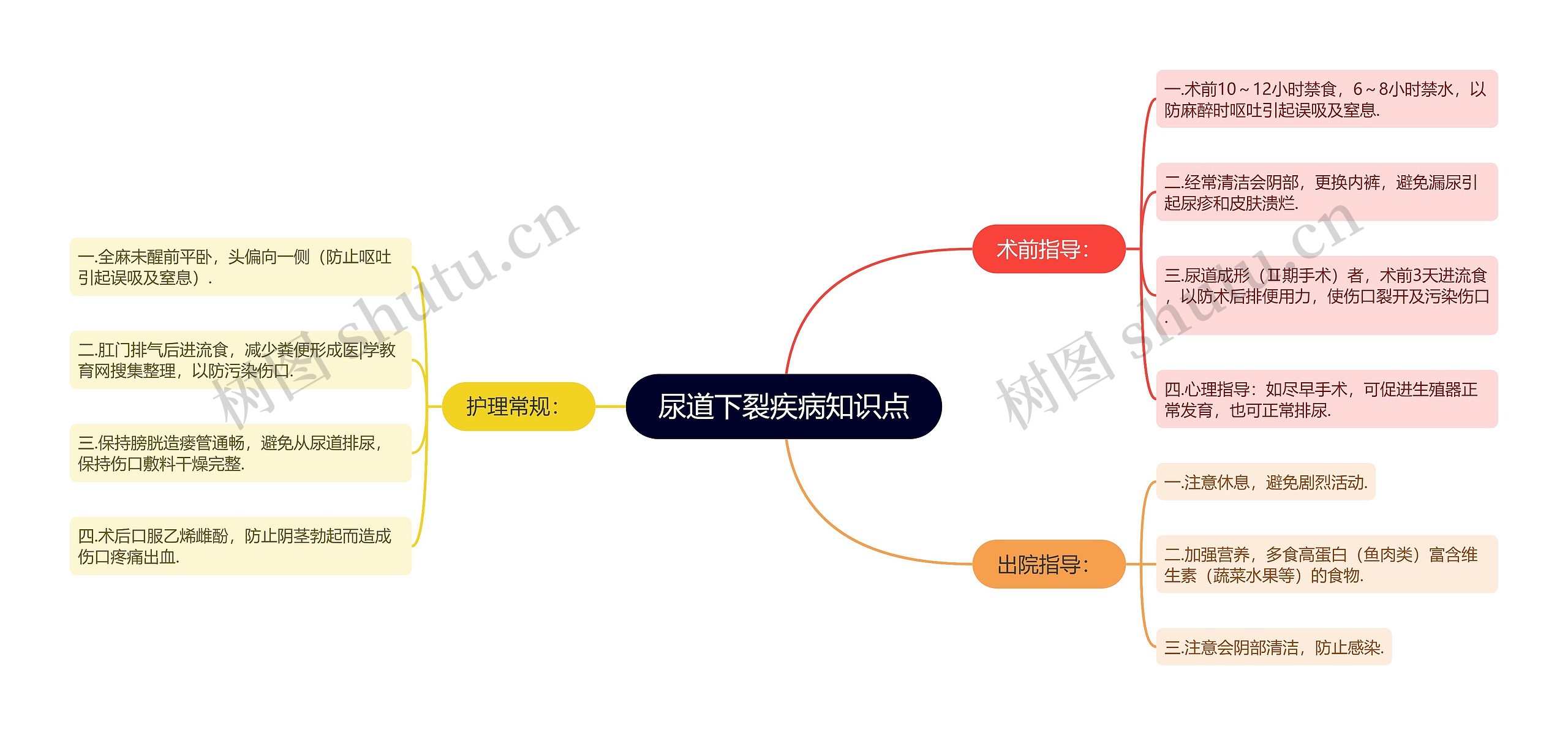 尿道下裂疾病知识点