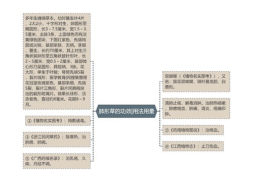 肺形草的功效|用法用量