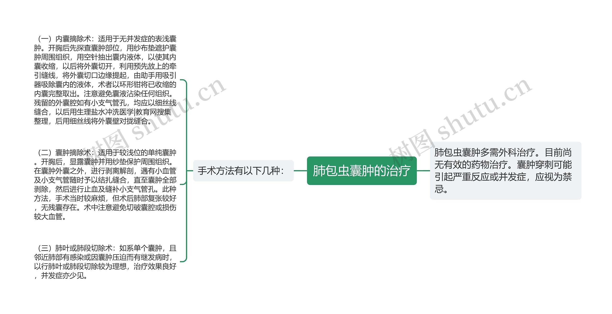 肺包虫囊肿的治疗