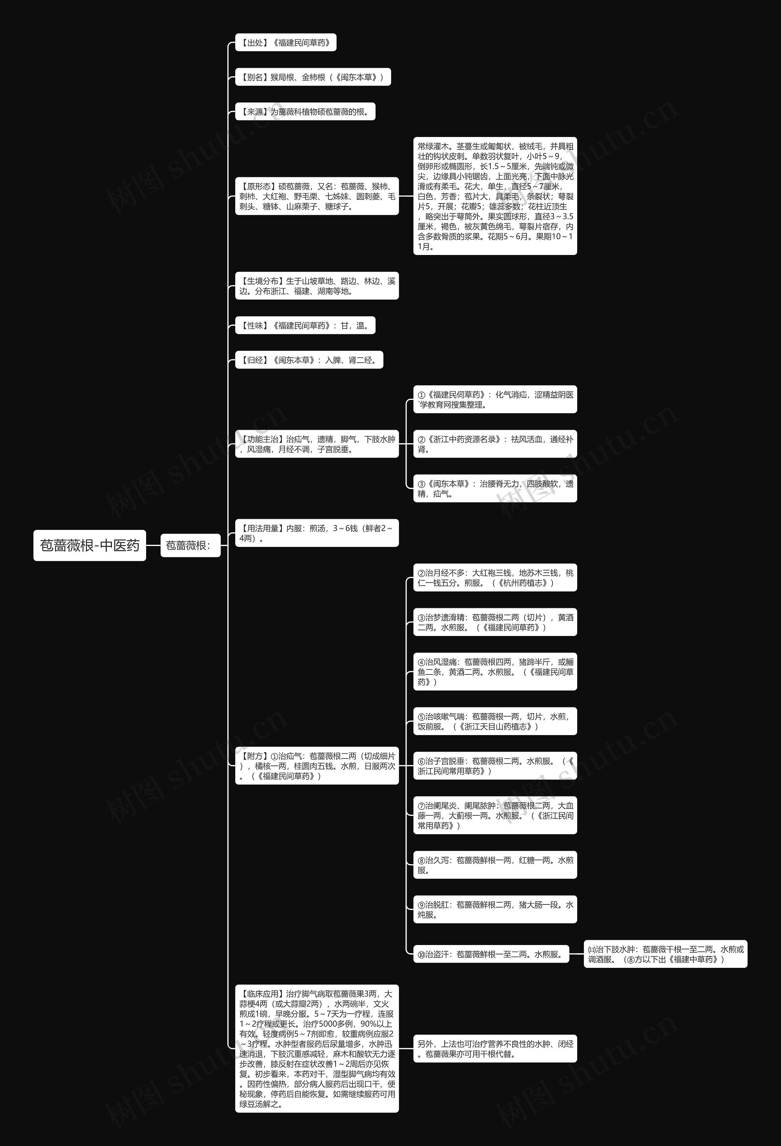 苞蔷薇根-中医药思维导图