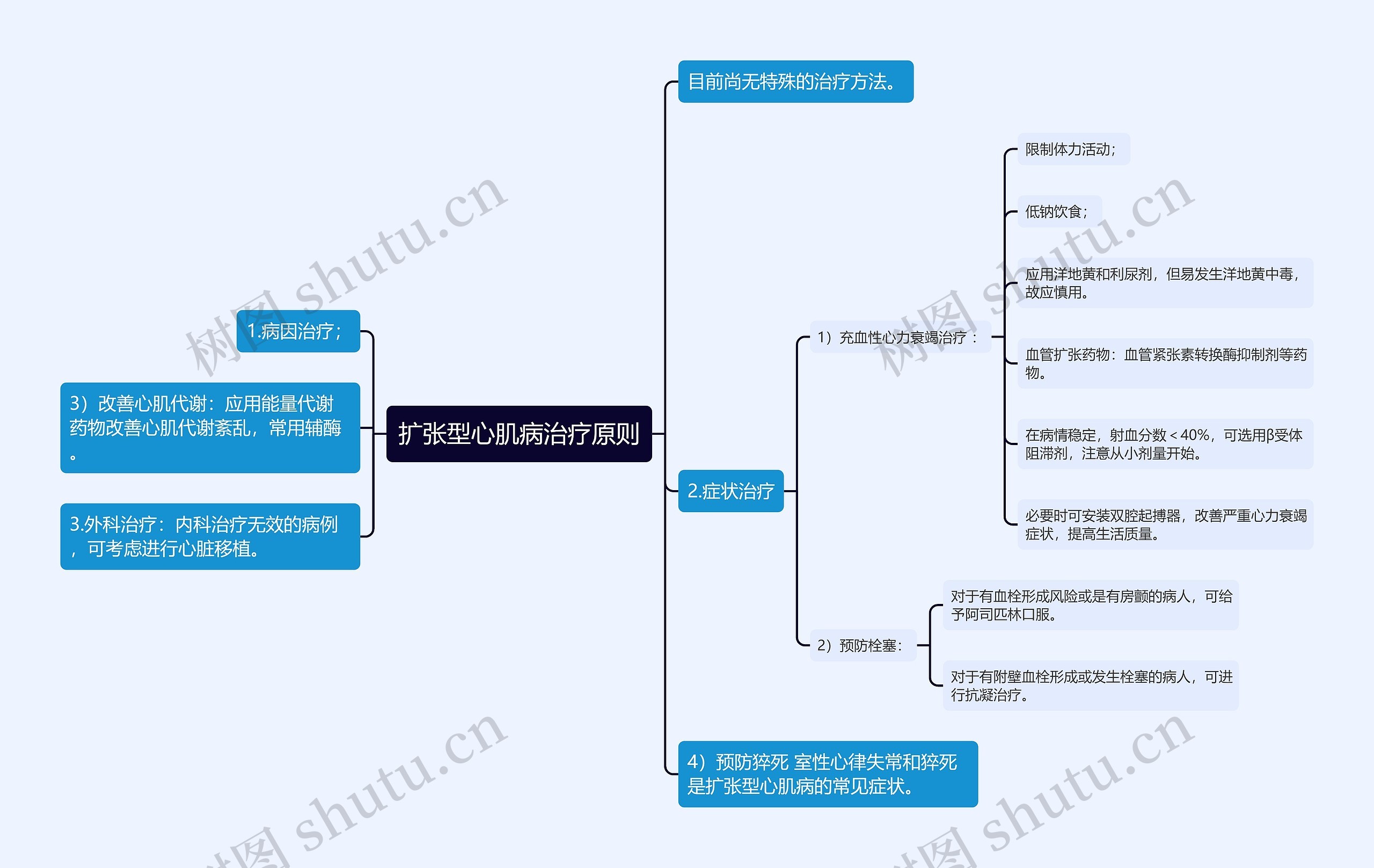 扩张型心肌病治疗原则思维导图