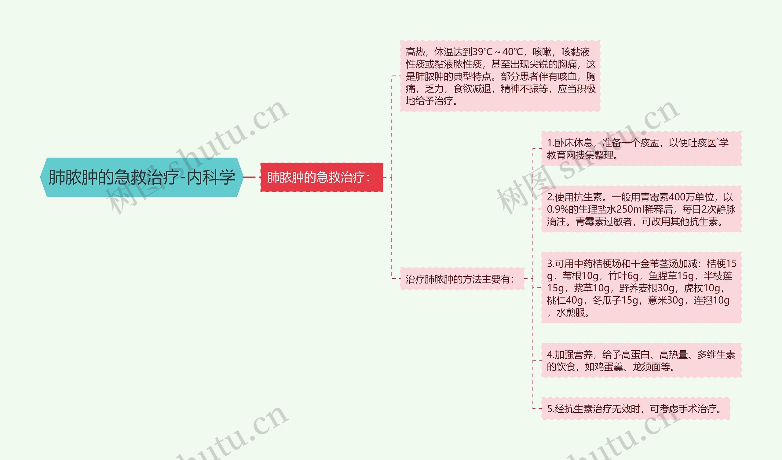 肺脓肿的急救治疗-内科学思维导图