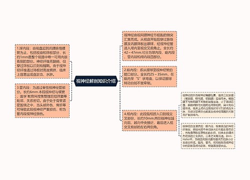 视神经解剖知识介绍