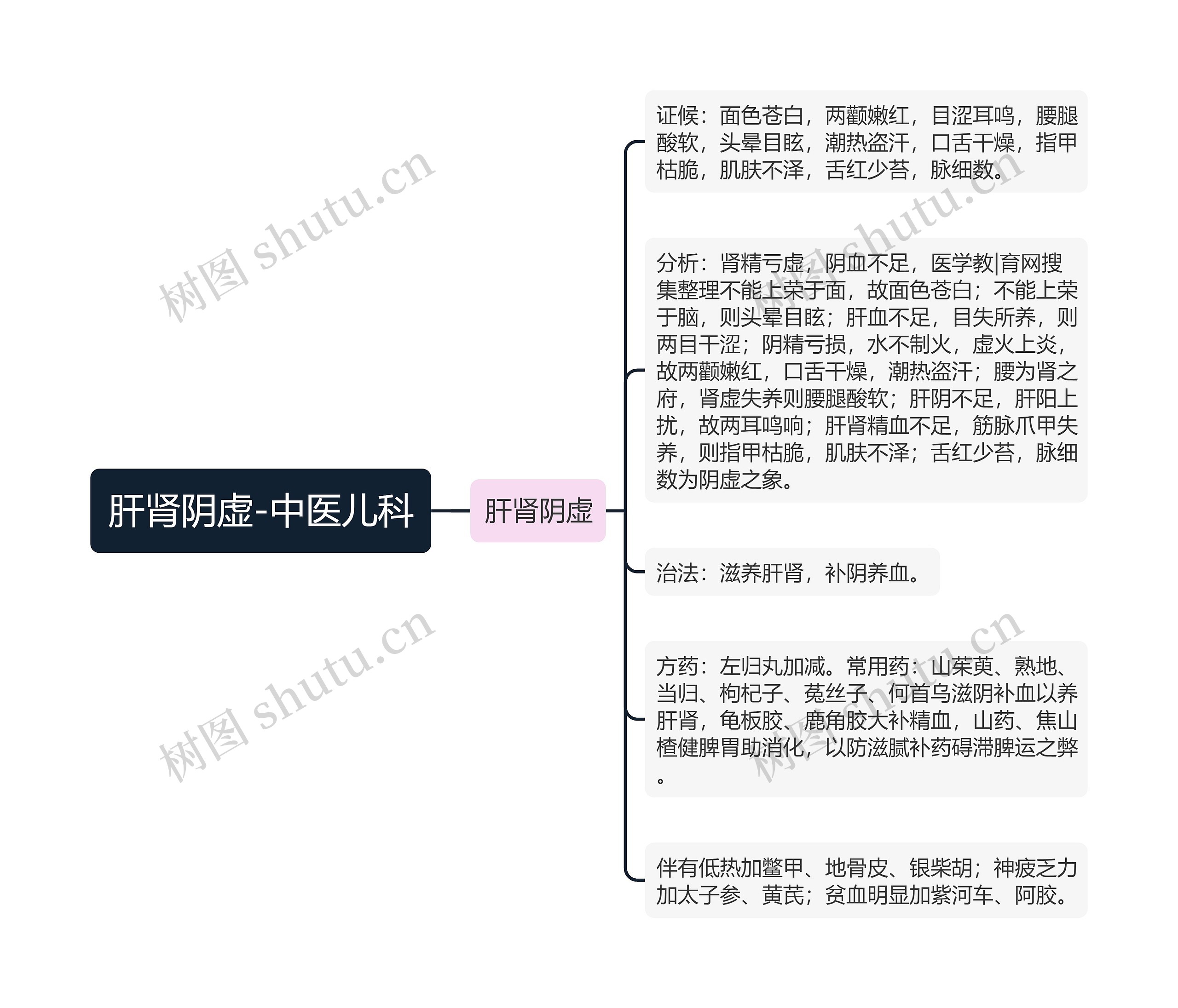 肝肾阴虚-中医儿科思维导图