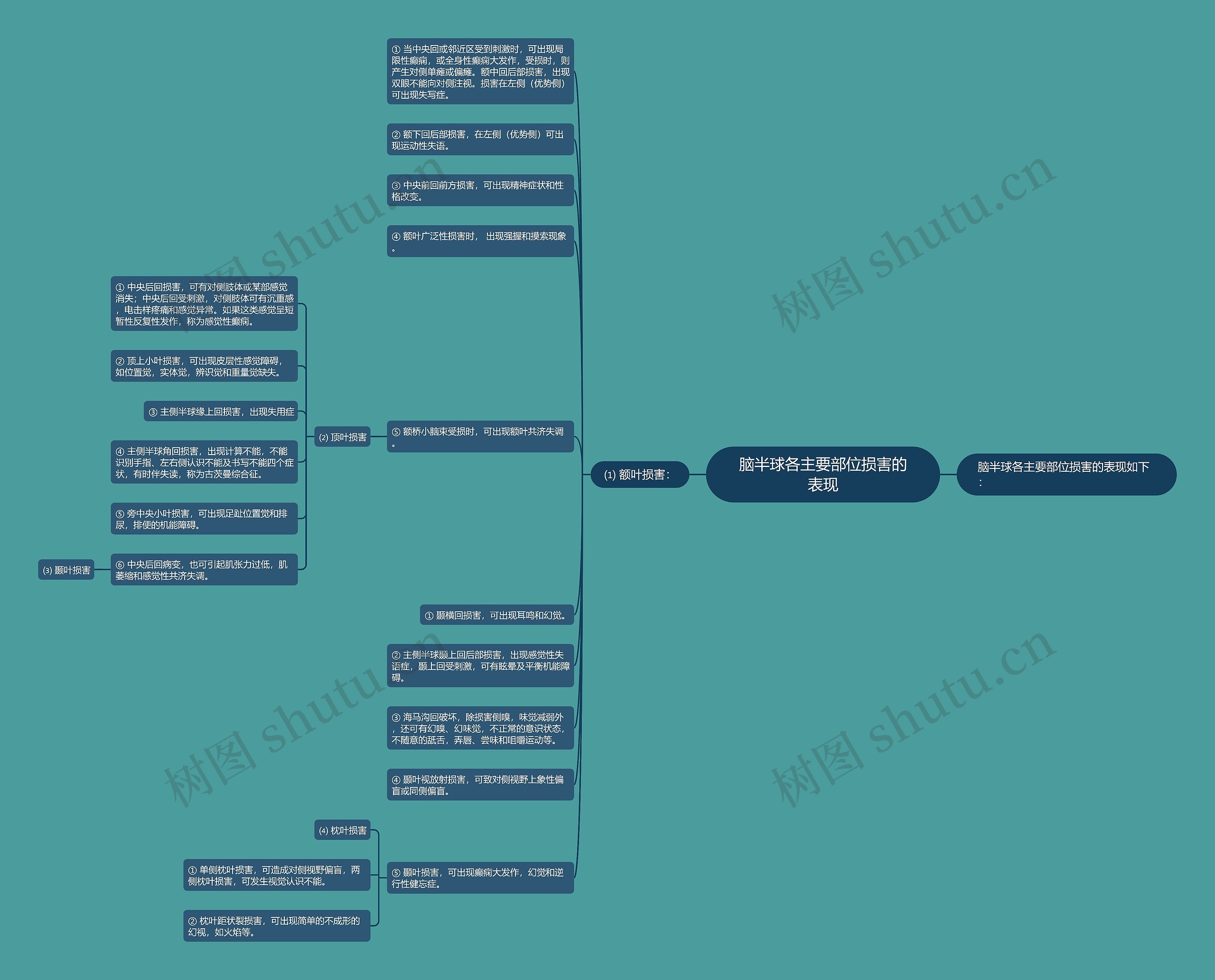脑半球各主要部位损害的表现思维导图