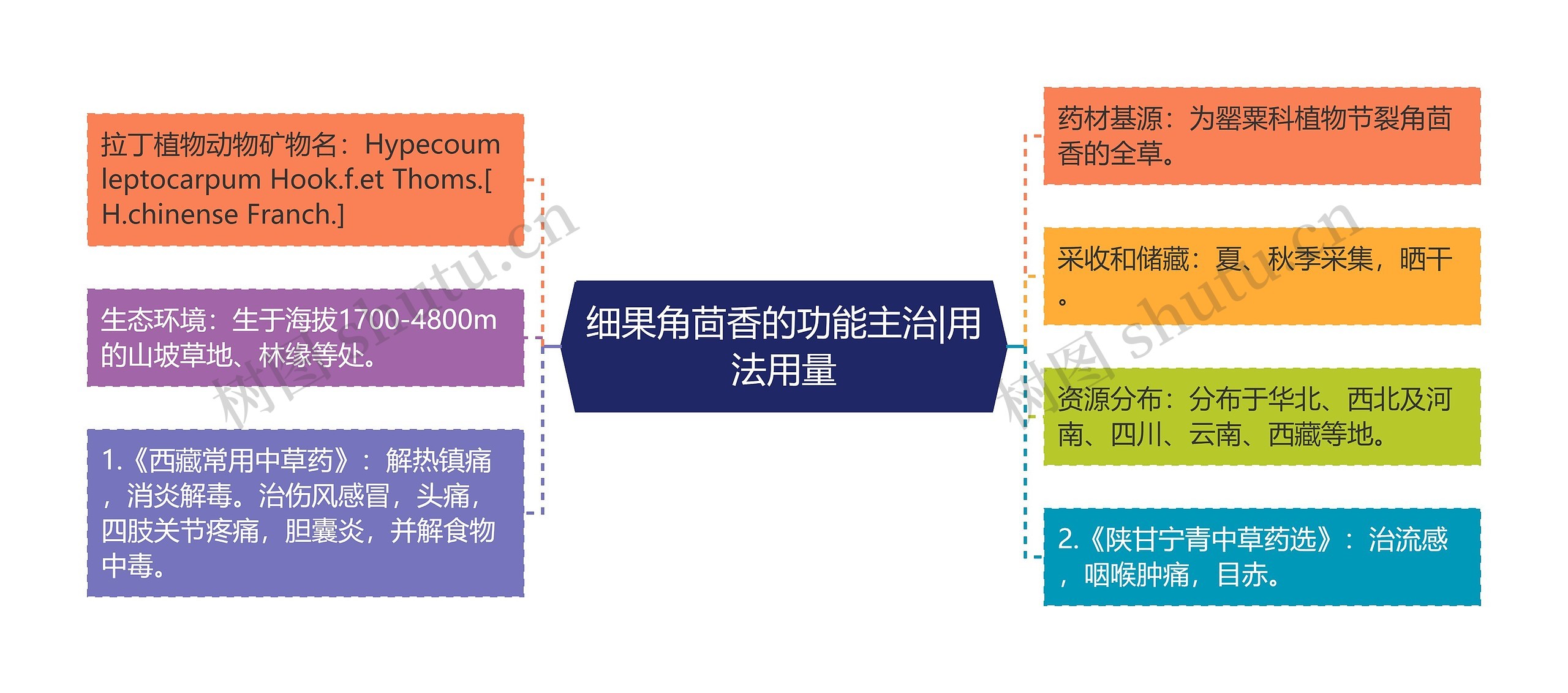 细果角茴香的功能主治|用法用量思维导图