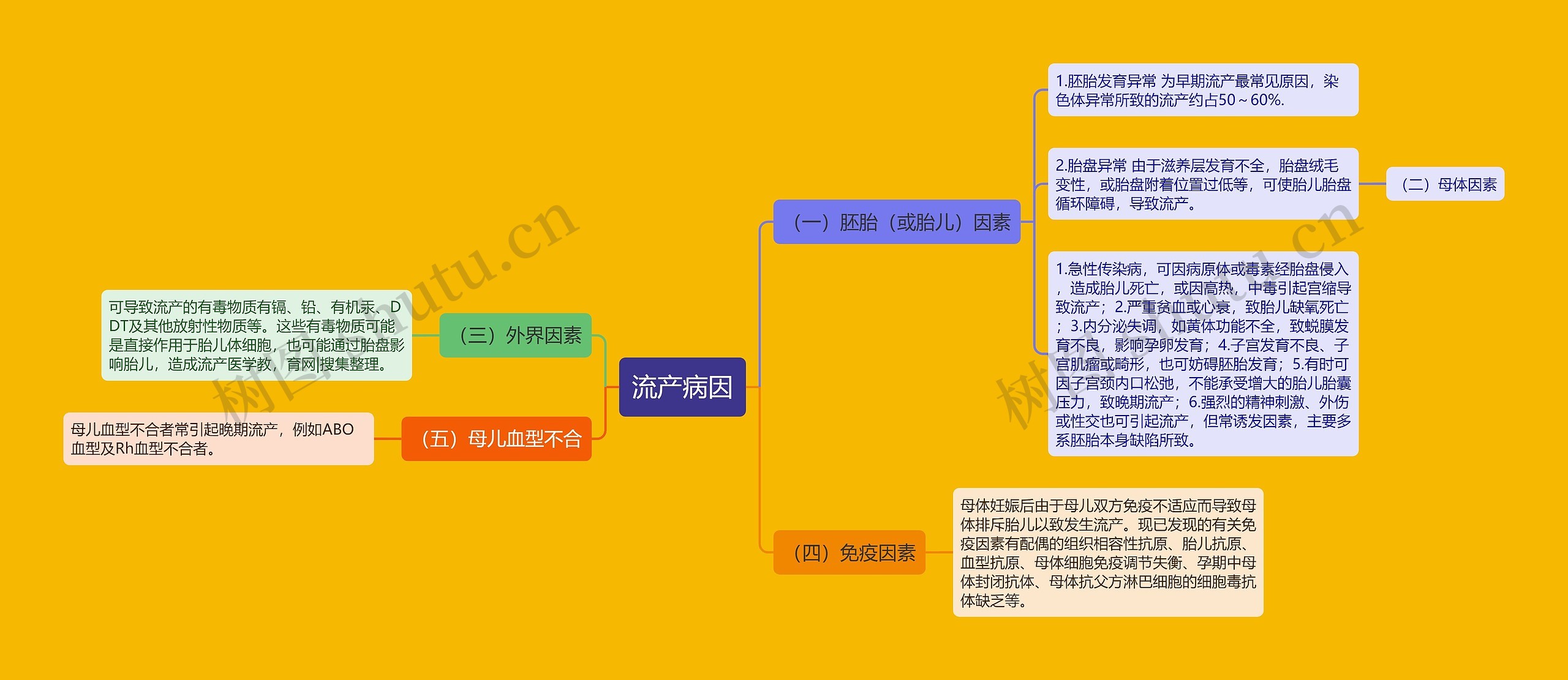 流产病因思维导图