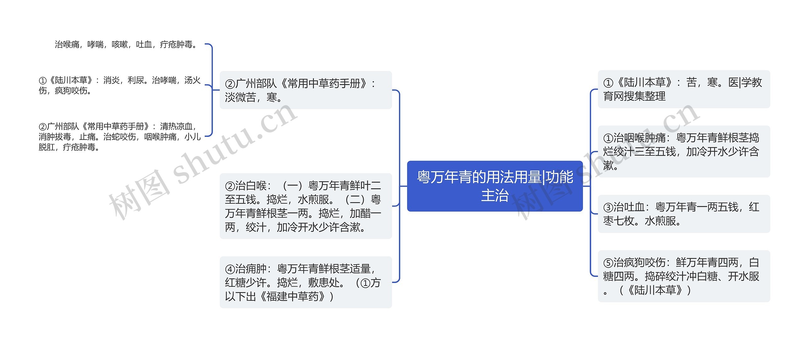 粤万年青的用法用量|功能主治思维导图