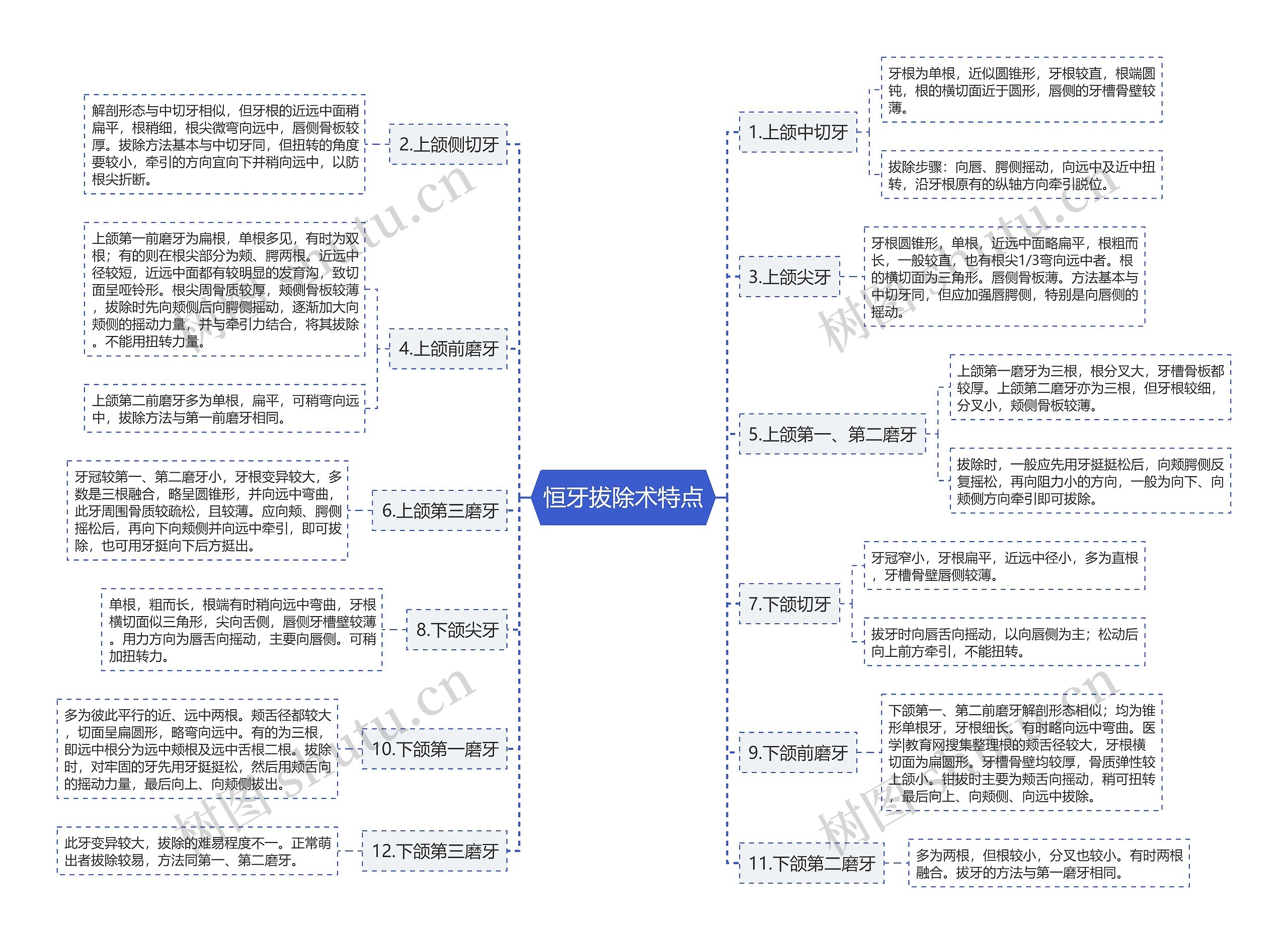 恒牙拔除术特点