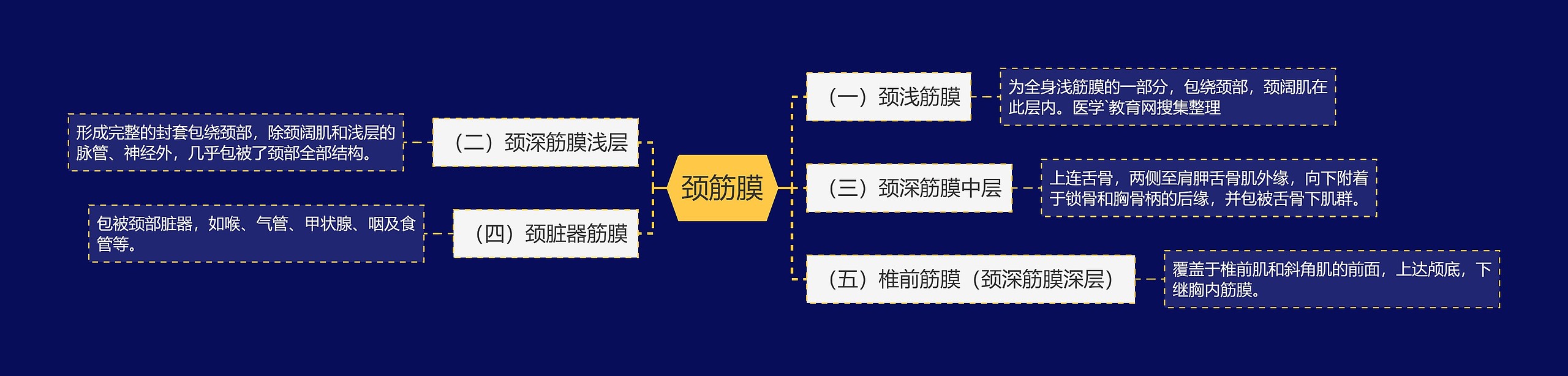 颈筋膜思维导图