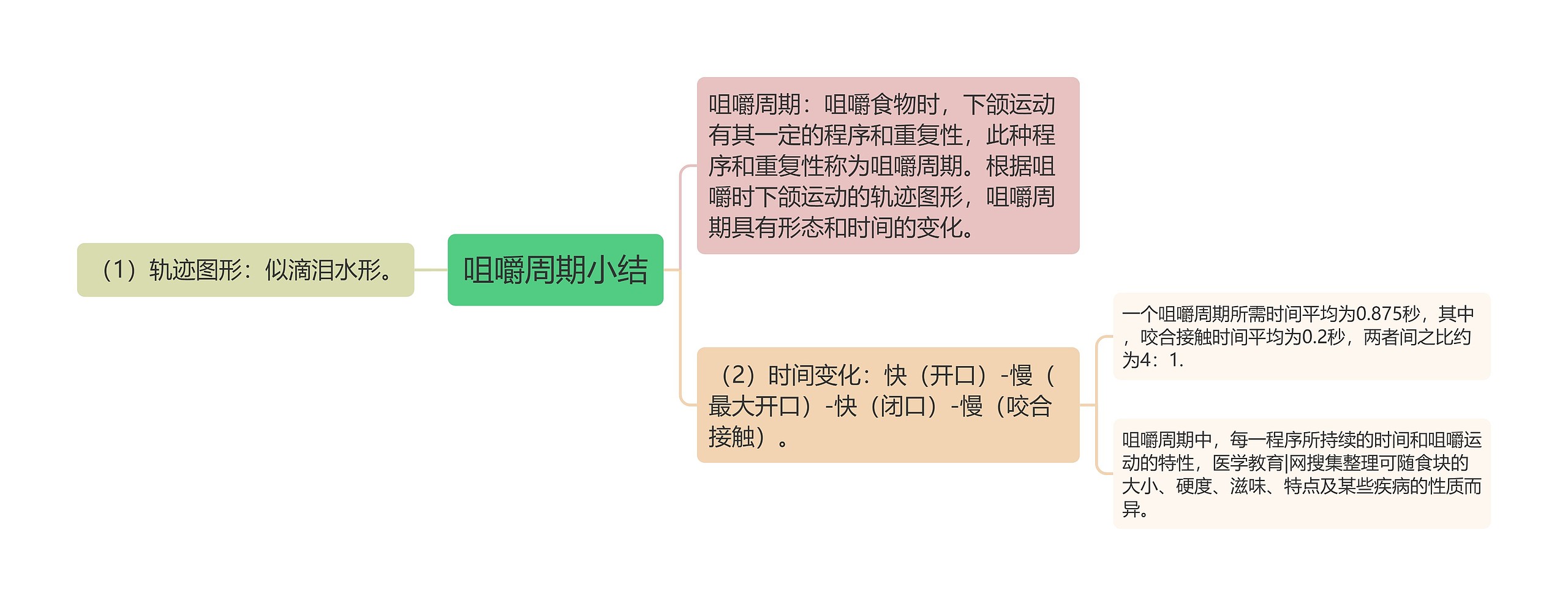 咀嚼周期小结思维导图