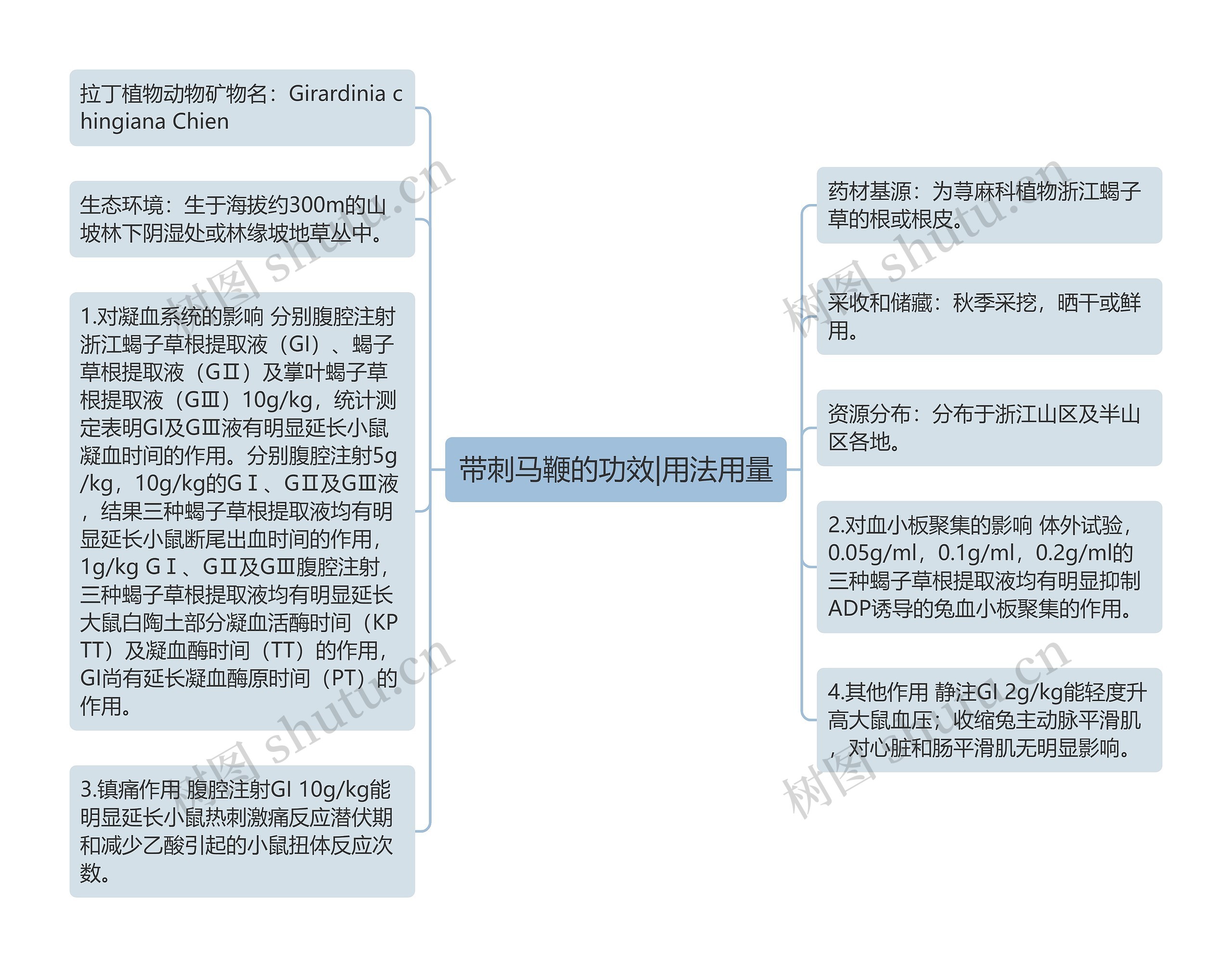 带刺马鞭的功效|用法用量思维导图