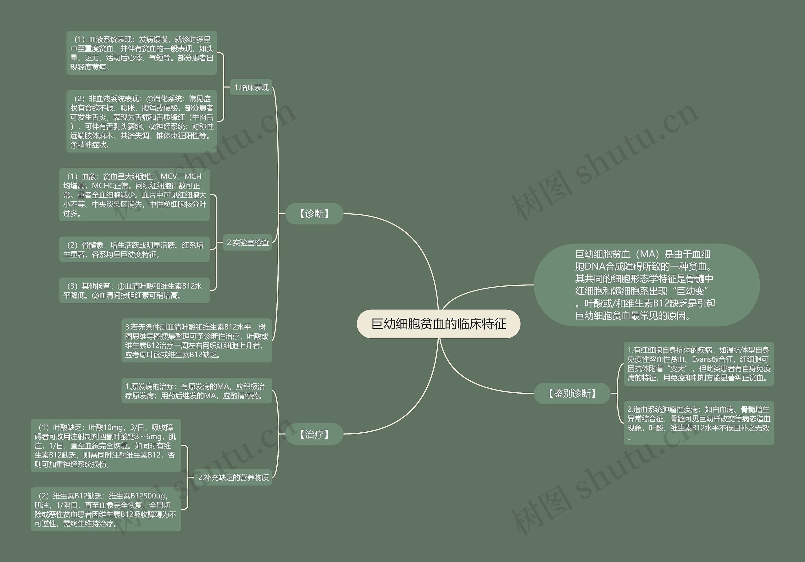 巨幼细胞贫血的临床特征思维导图