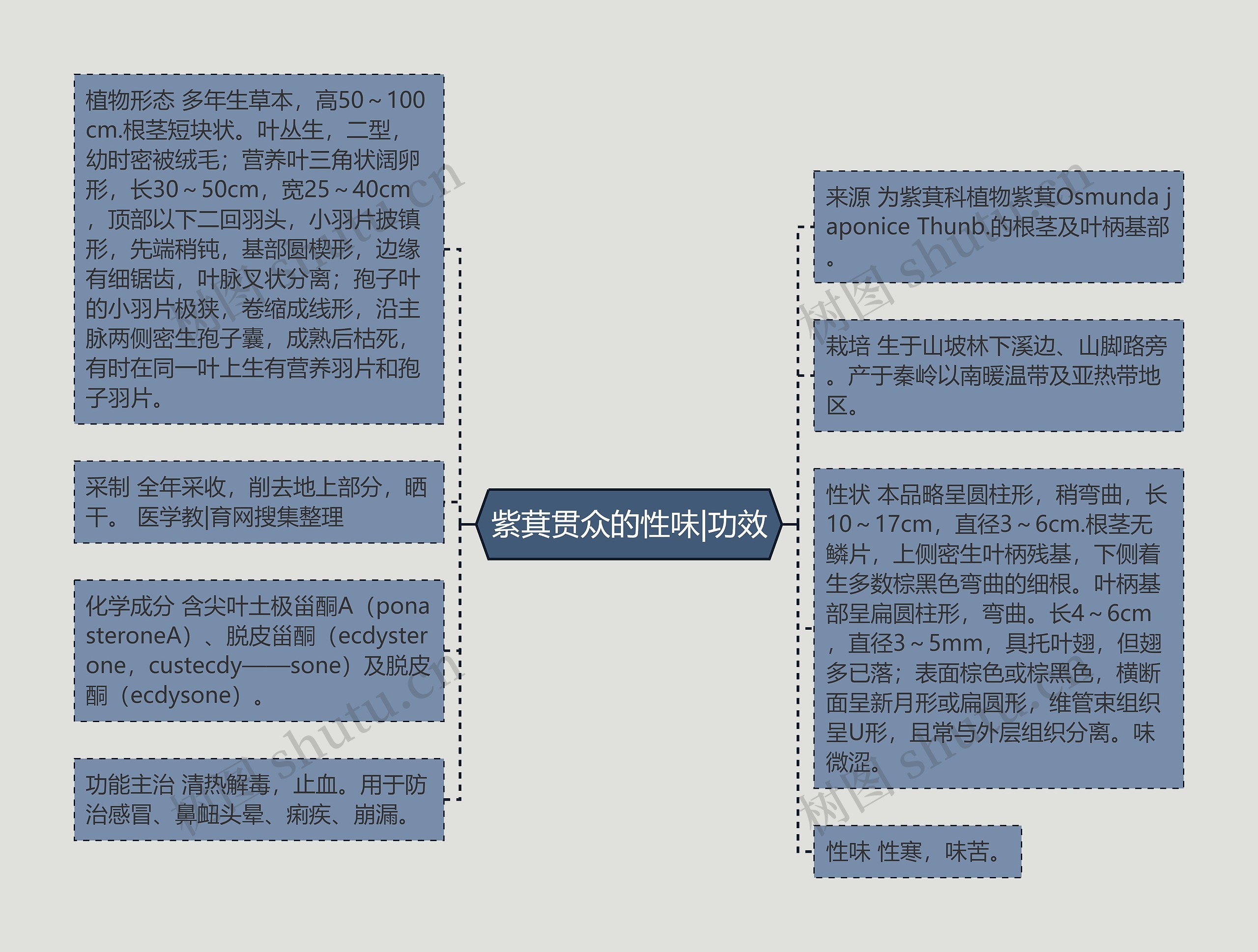 紫萁贯众的性味|功效思维导图