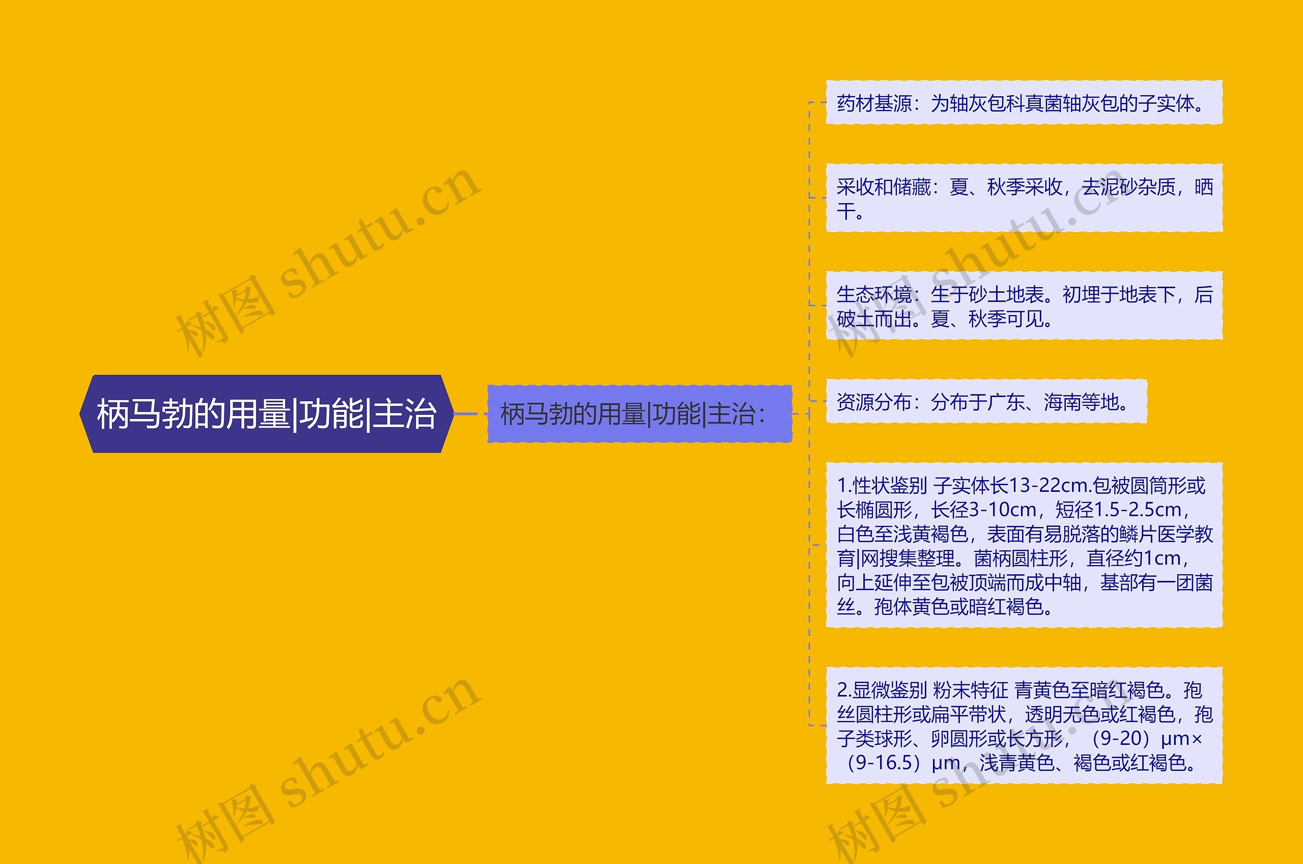 柄马勃的用量|功能|主治 柄马勃的用量|功能|主治