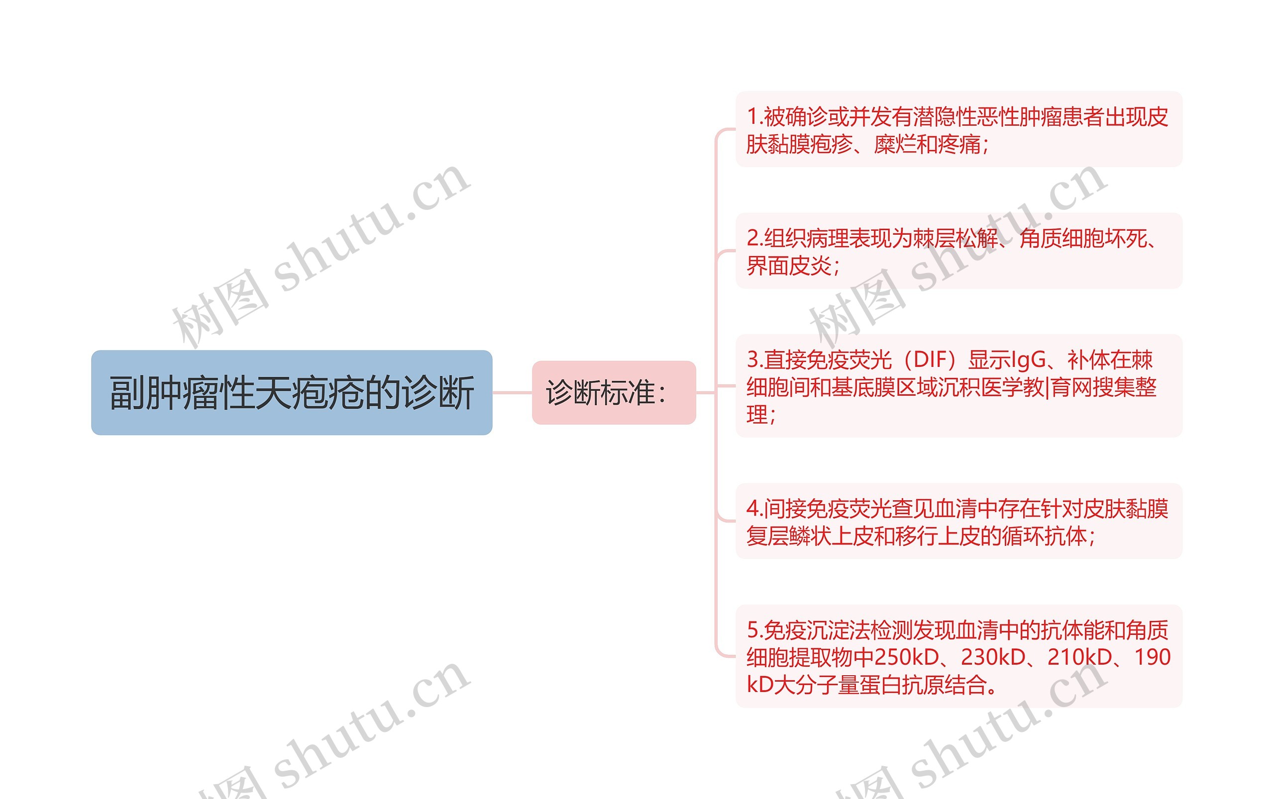 副肿瘤性天疱疮的诊断思维导图